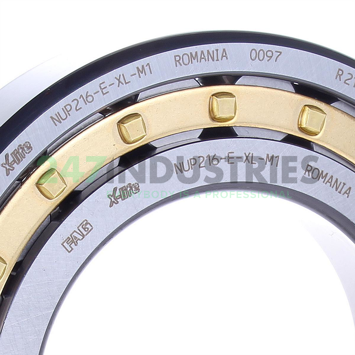 NUP216-E-XL-M1 FAG Image 2