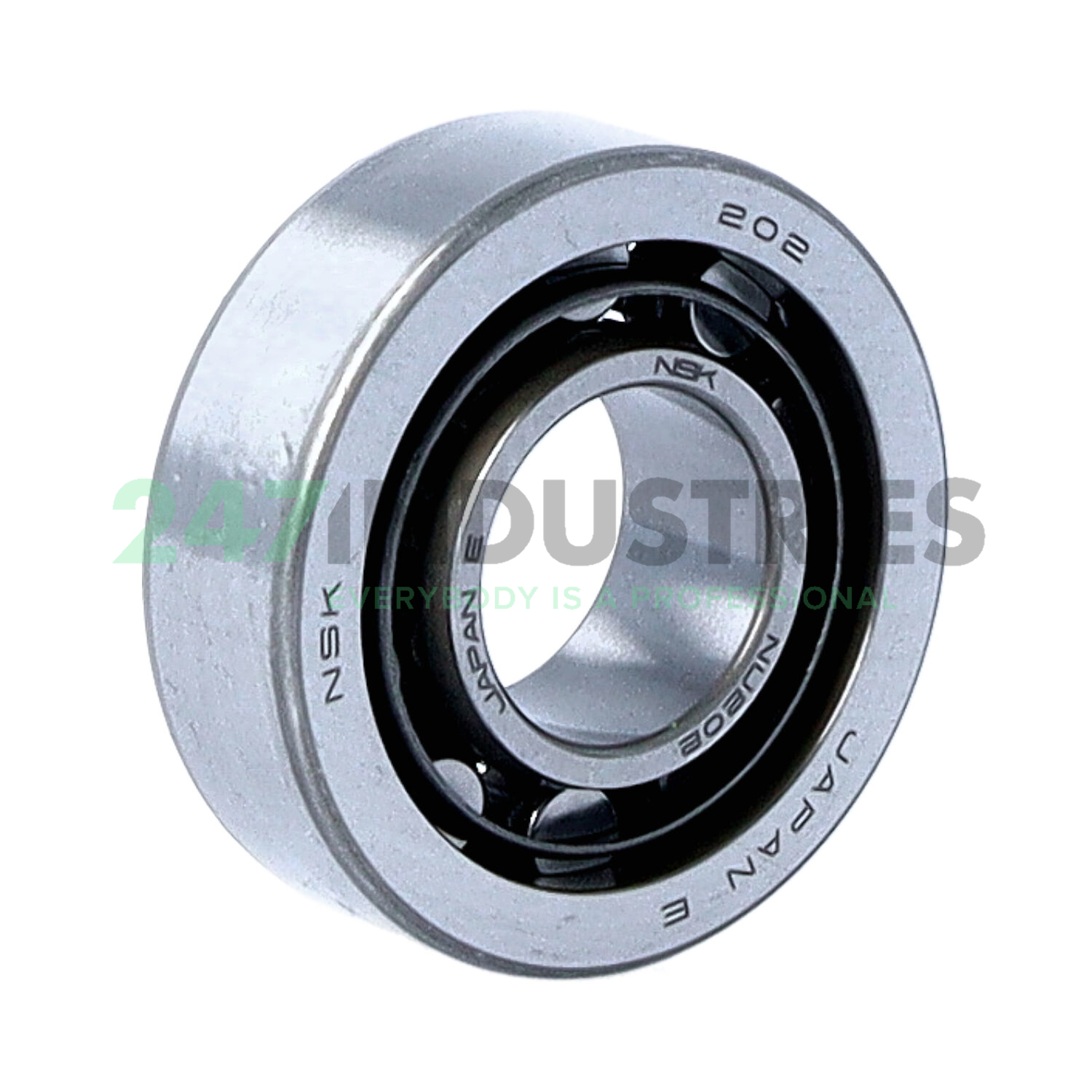 NU202W NSK