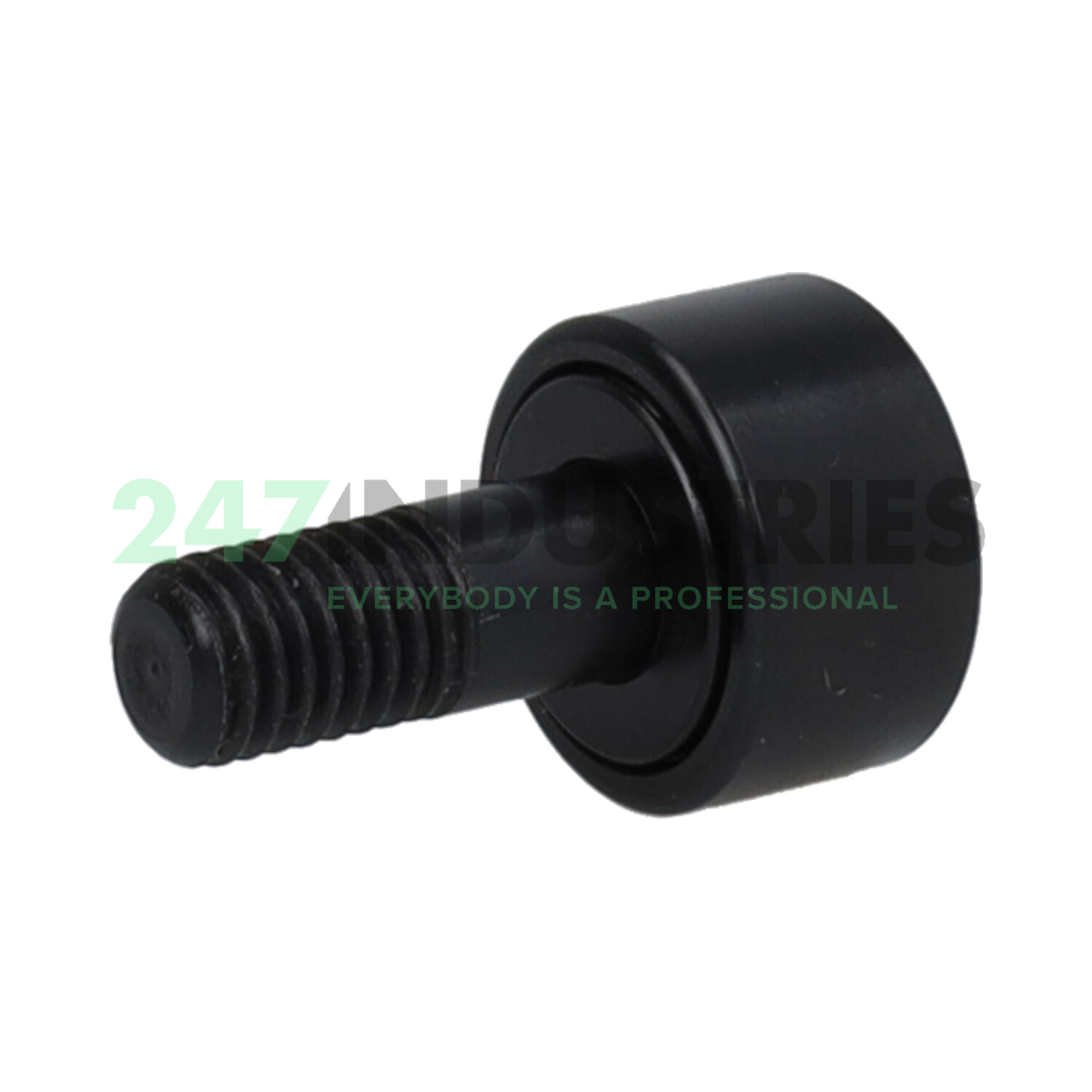 MCF19 McGill Image 2