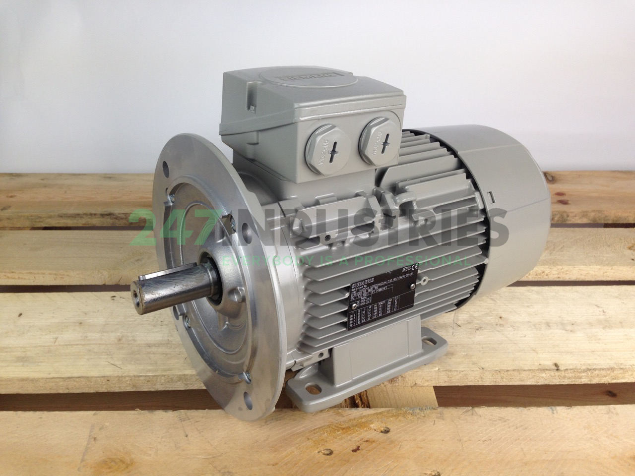 1LE1003-1AA42-2JA4 Siemens