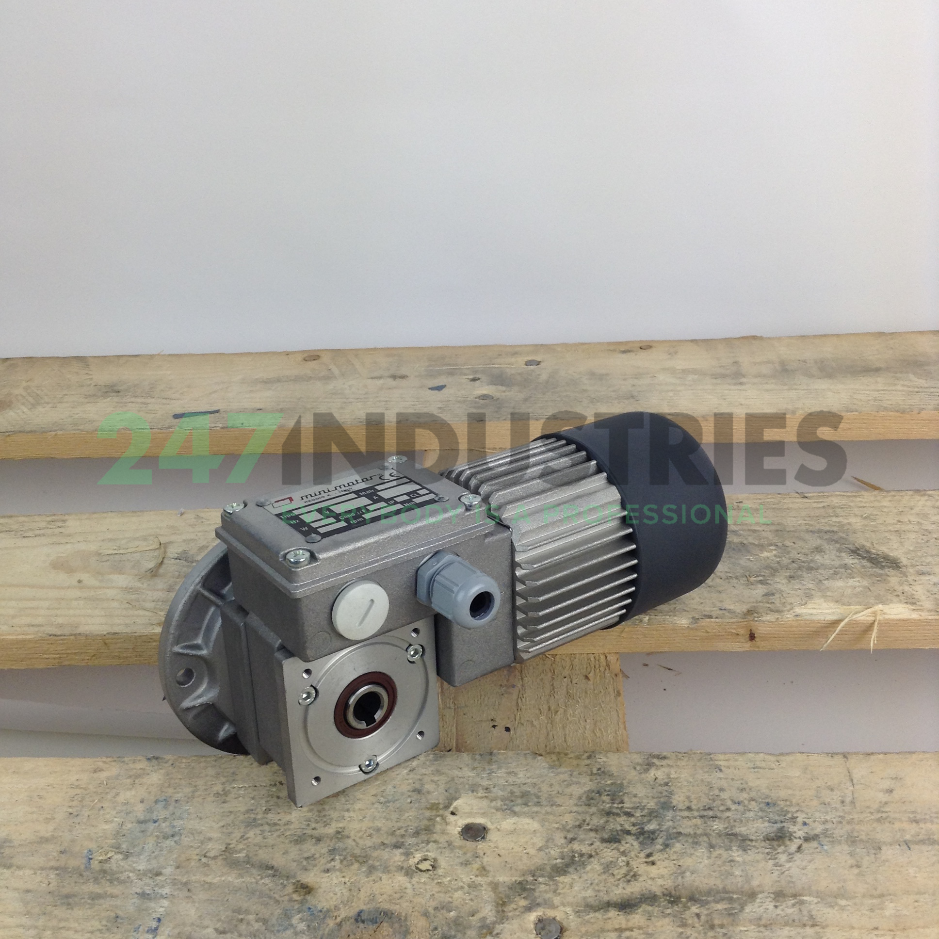 MC244PT Mini Motor