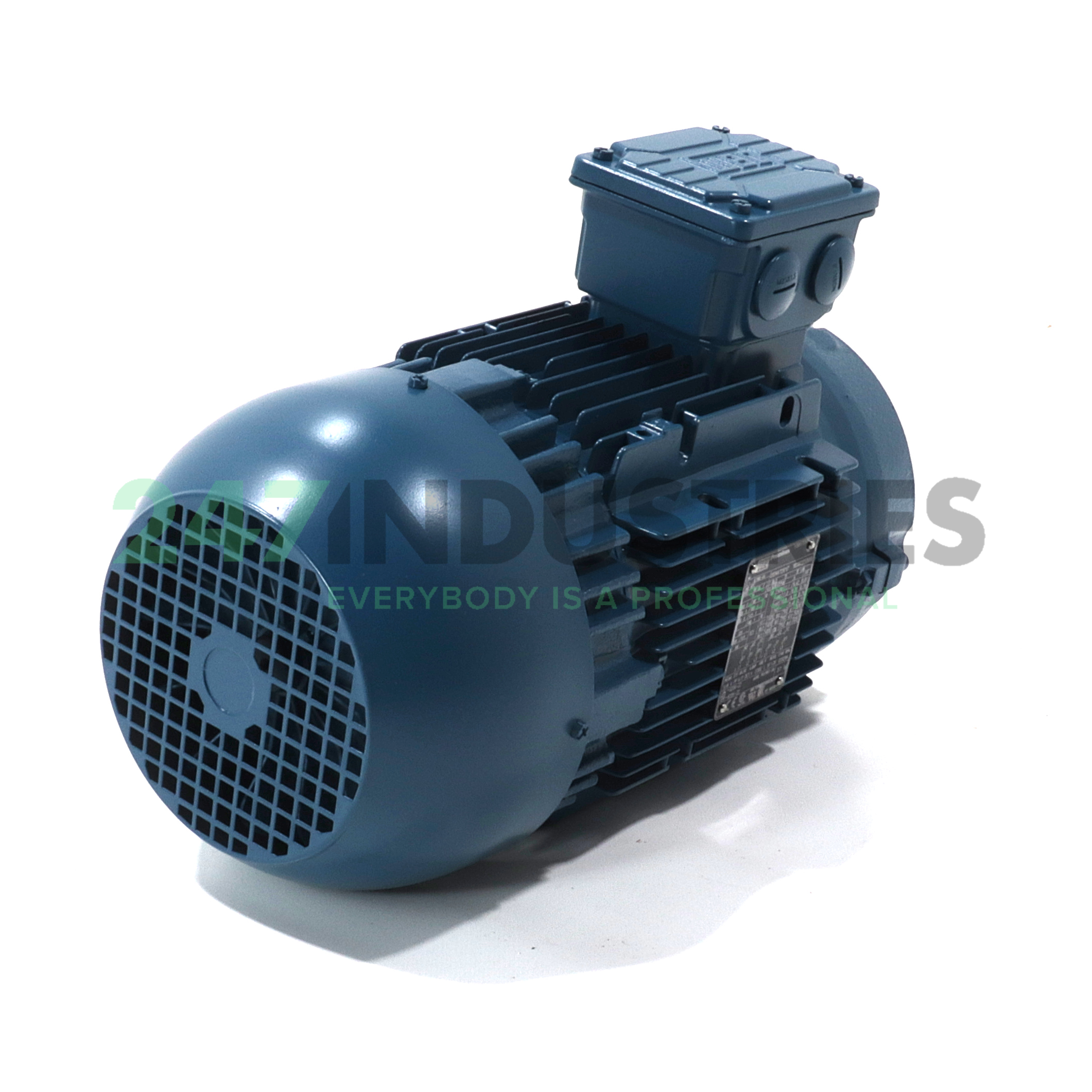 3K31AL3100L4B14 WEG Image 3