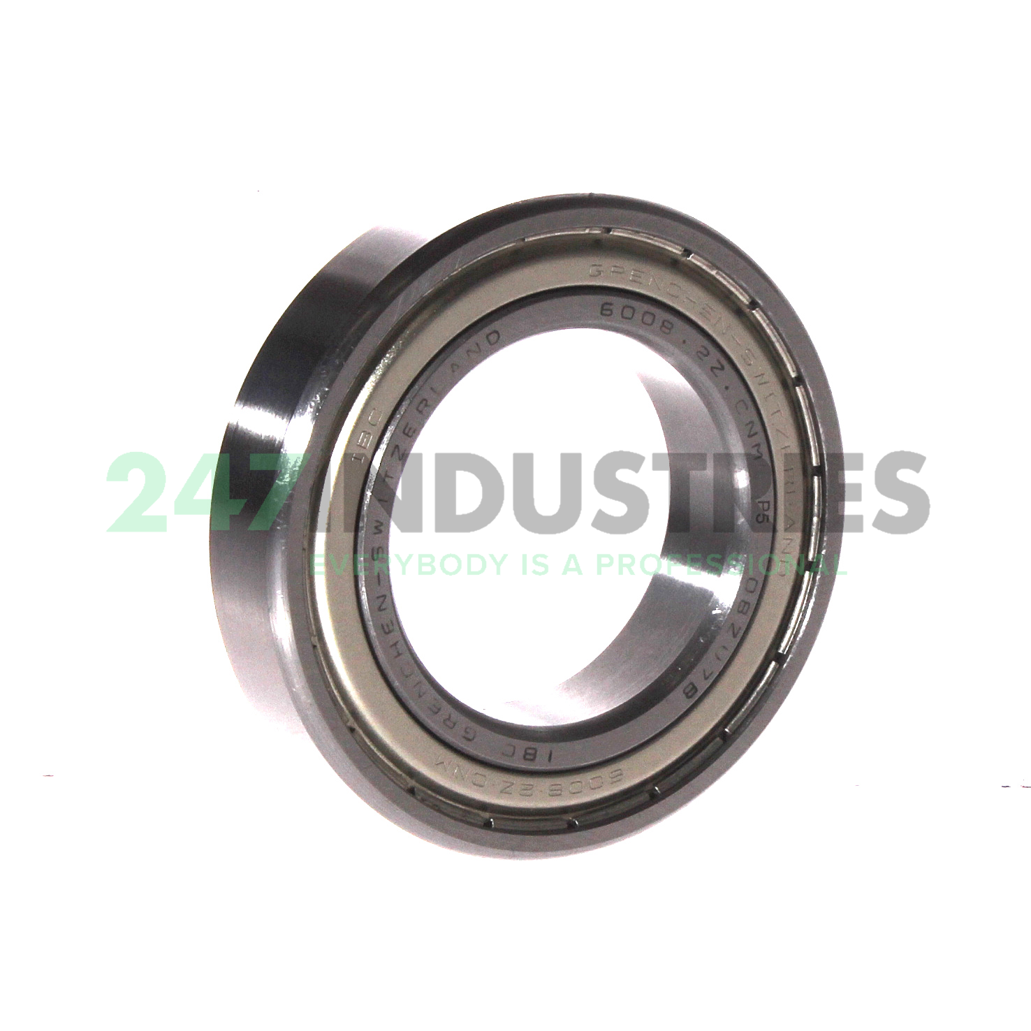 6008.2Z.P5 IBC Bearings Image 2