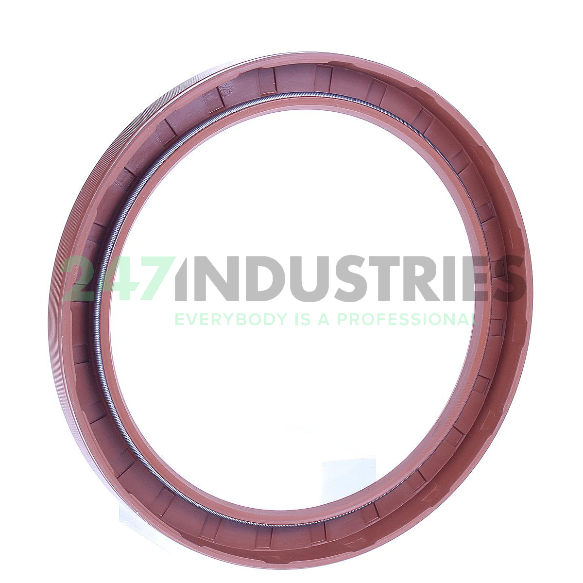 CR100X125X12HMS5V SKF Image 2