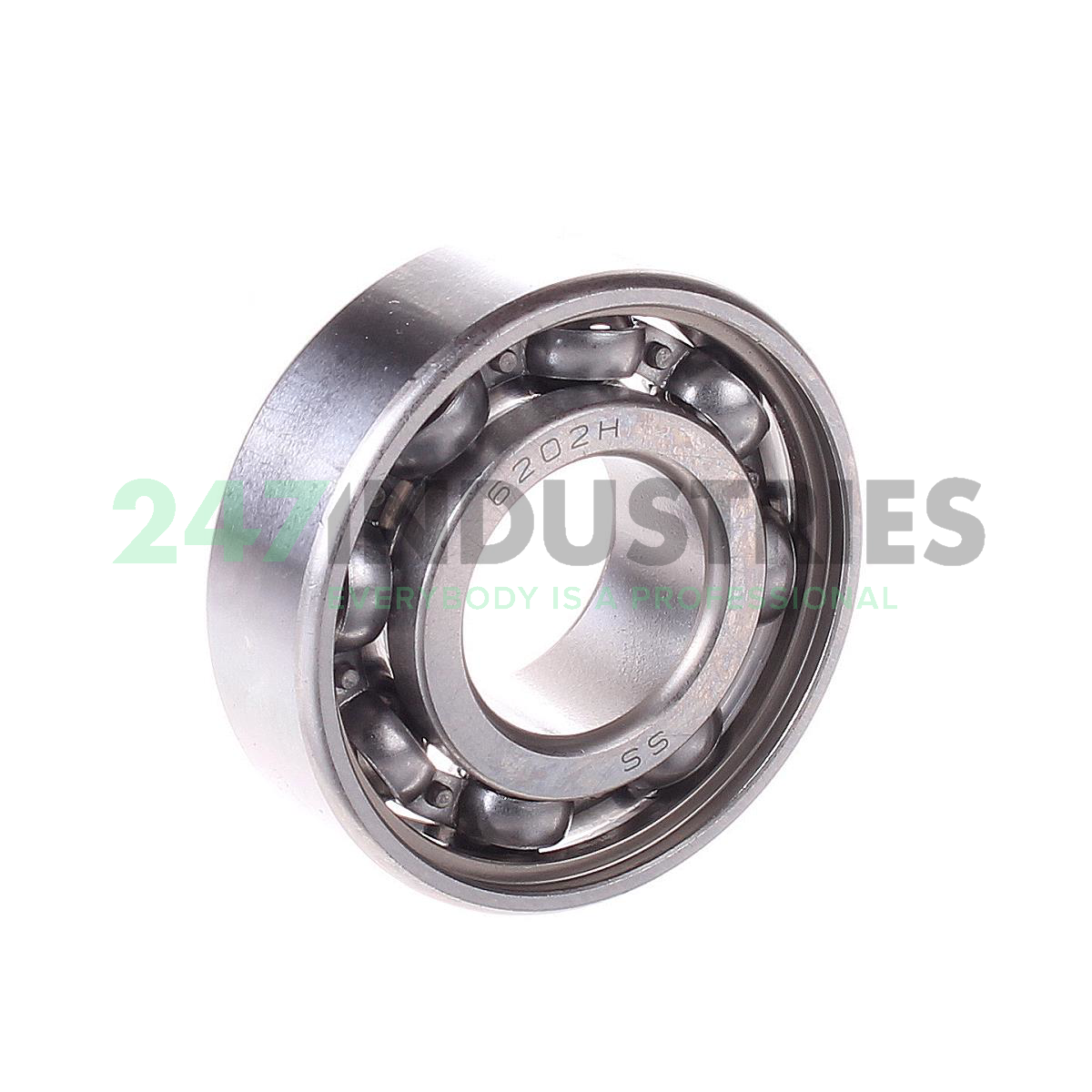 W6202 SKF