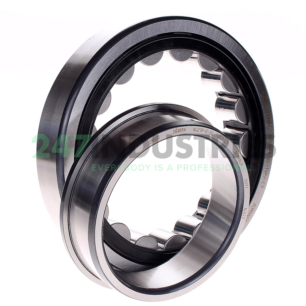 NJ219-E-XL-TVP2-C3 FAG Image 2