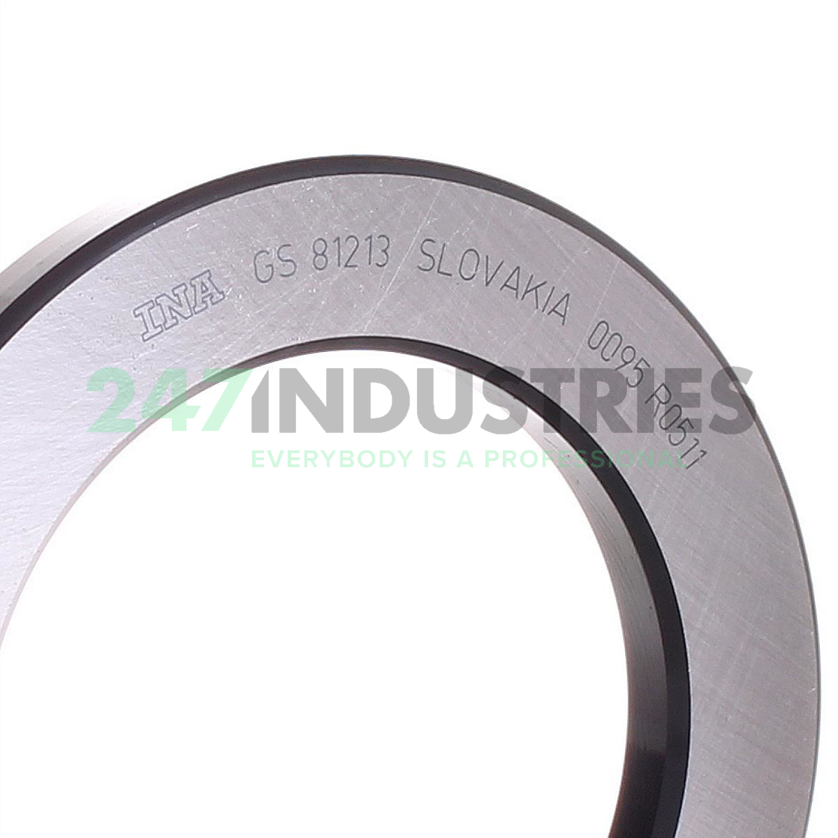 81213-TV INA Image 2