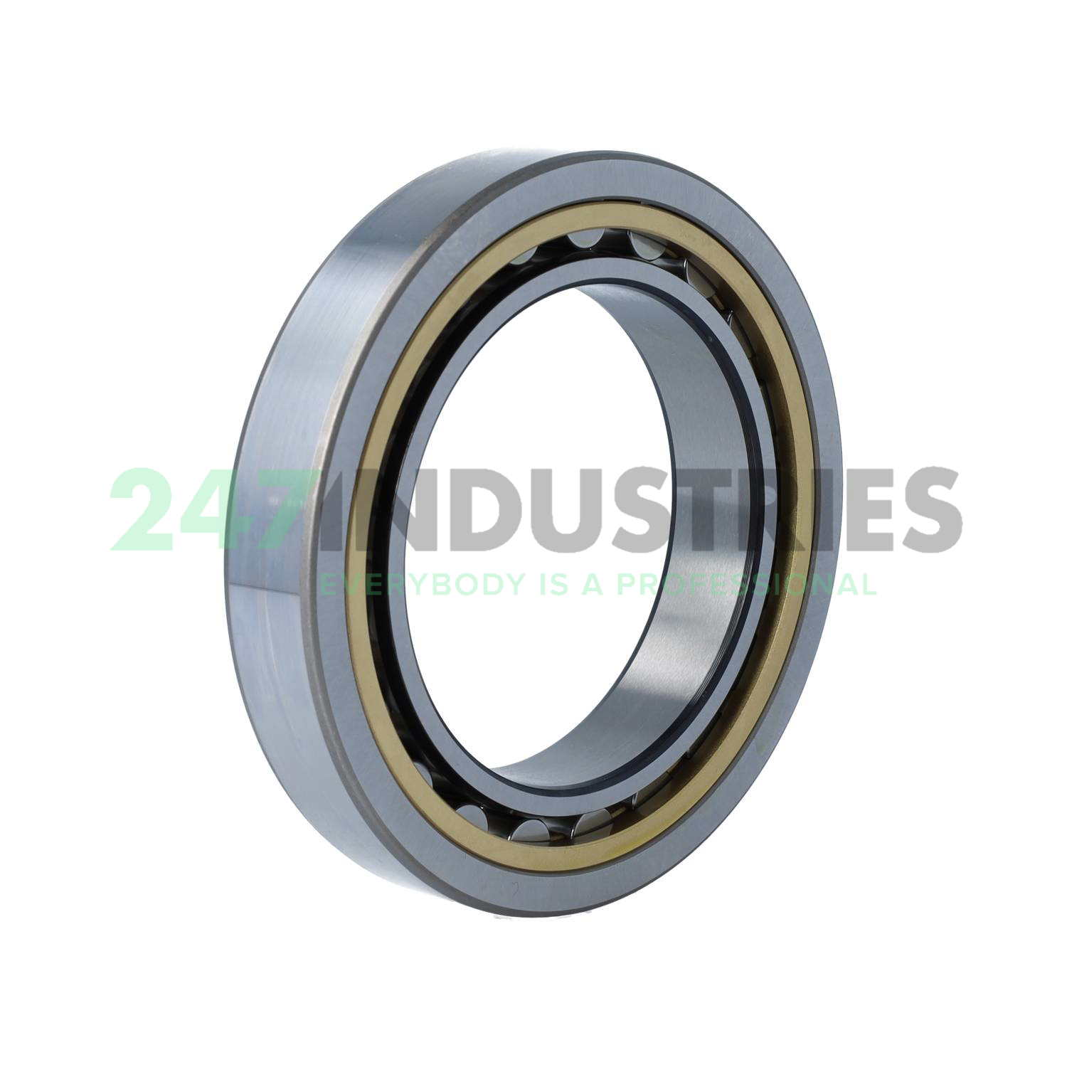 NU1017ML SKF Image 2