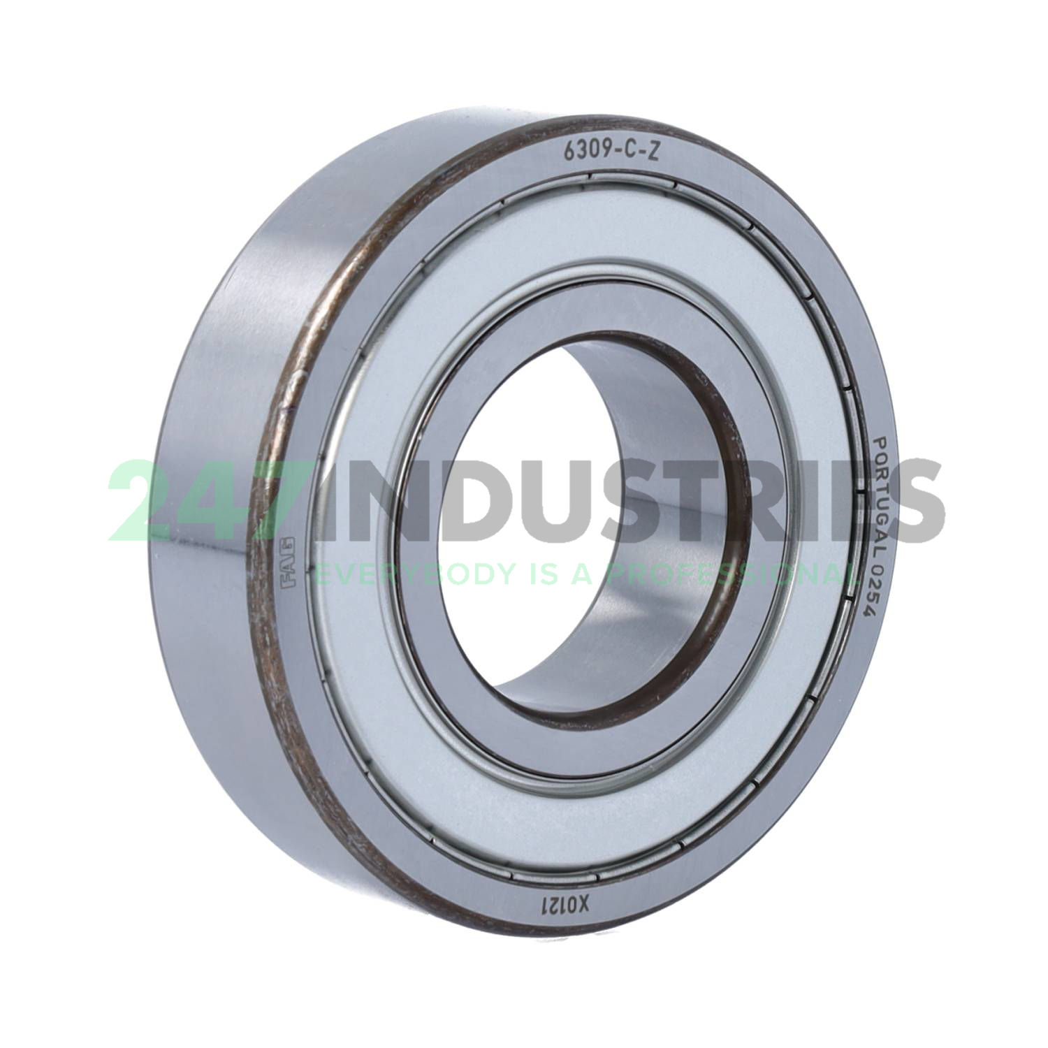 6309-C-Z FAG
