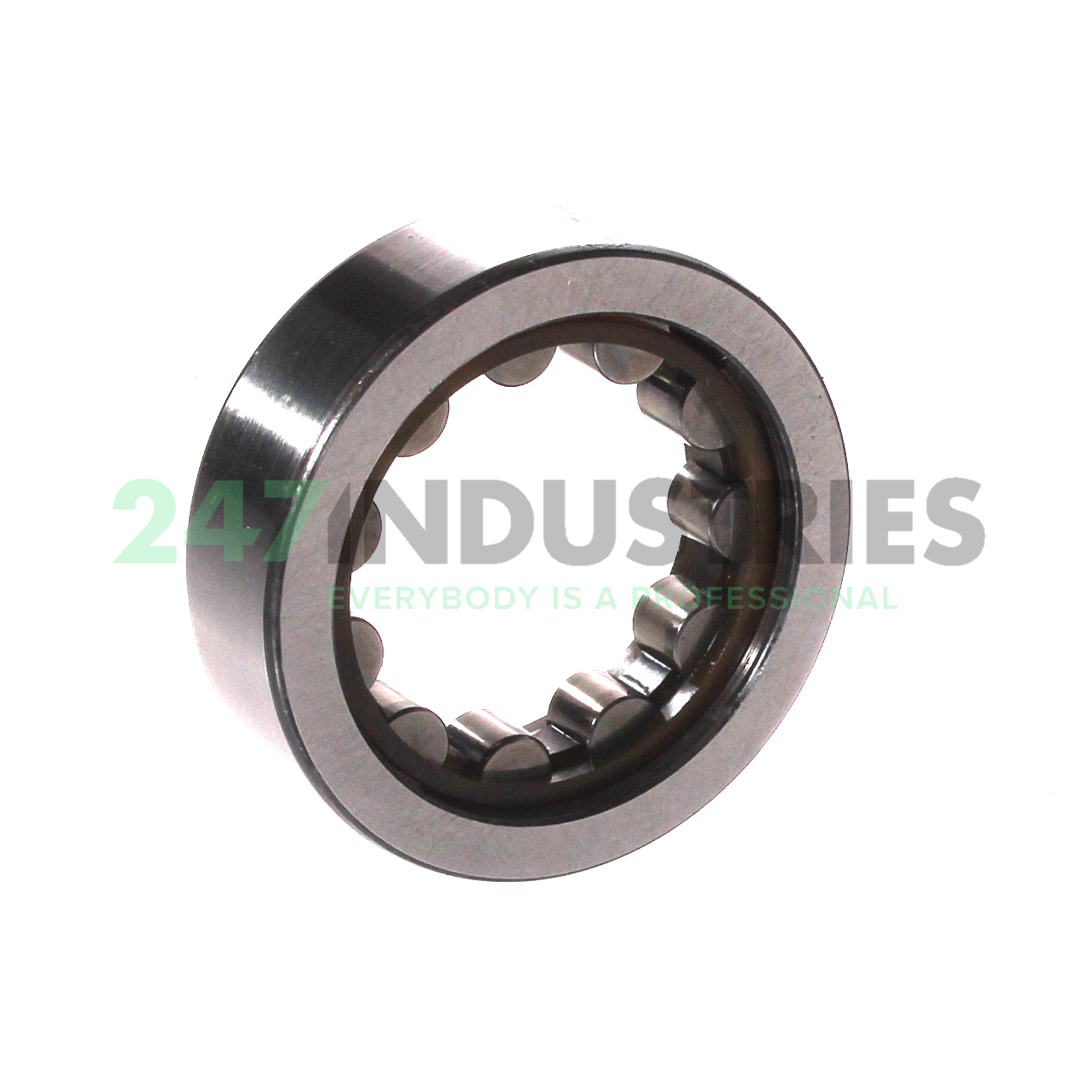 RNU203TN9 SKF Image 2