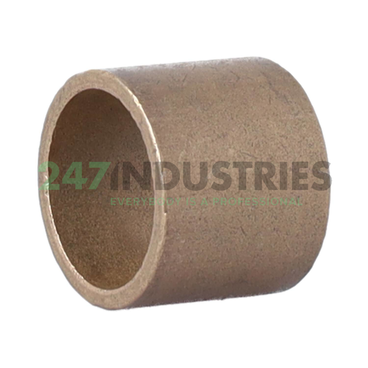 PSM253025A51 SKF Image 2