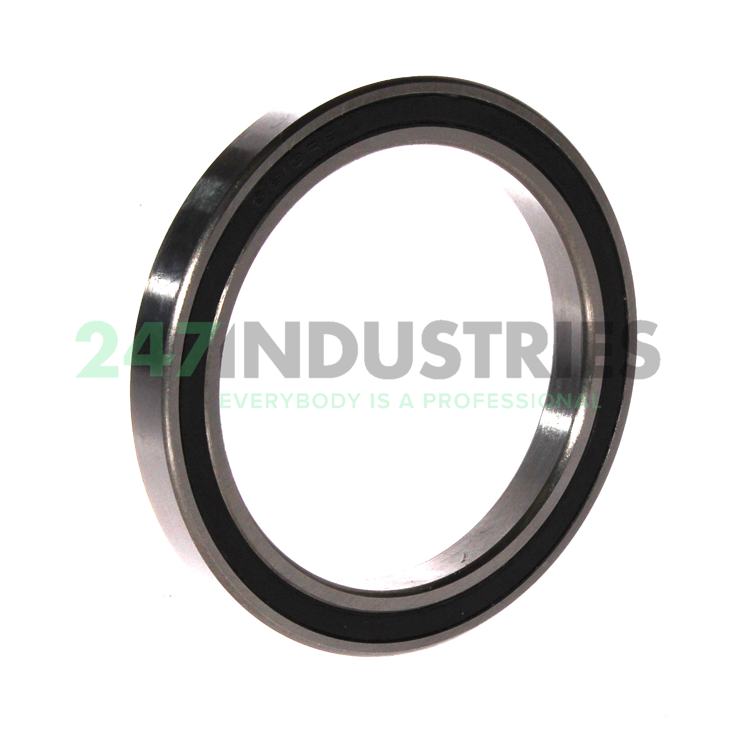 6813 2RS FBJ Image 2