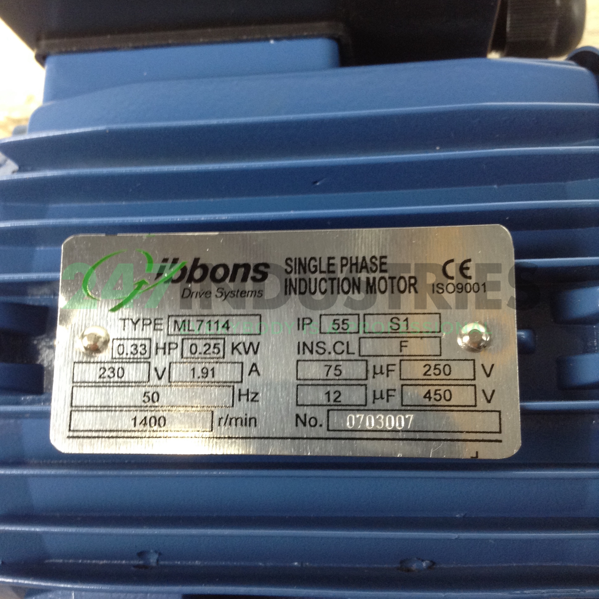 ML7114B34 Gibbons Image 2