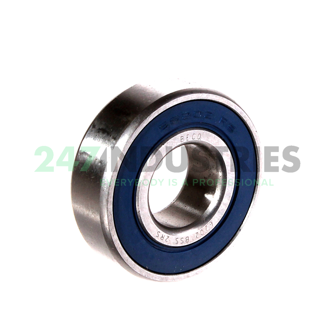 S6202 2RS Neutral Image 2