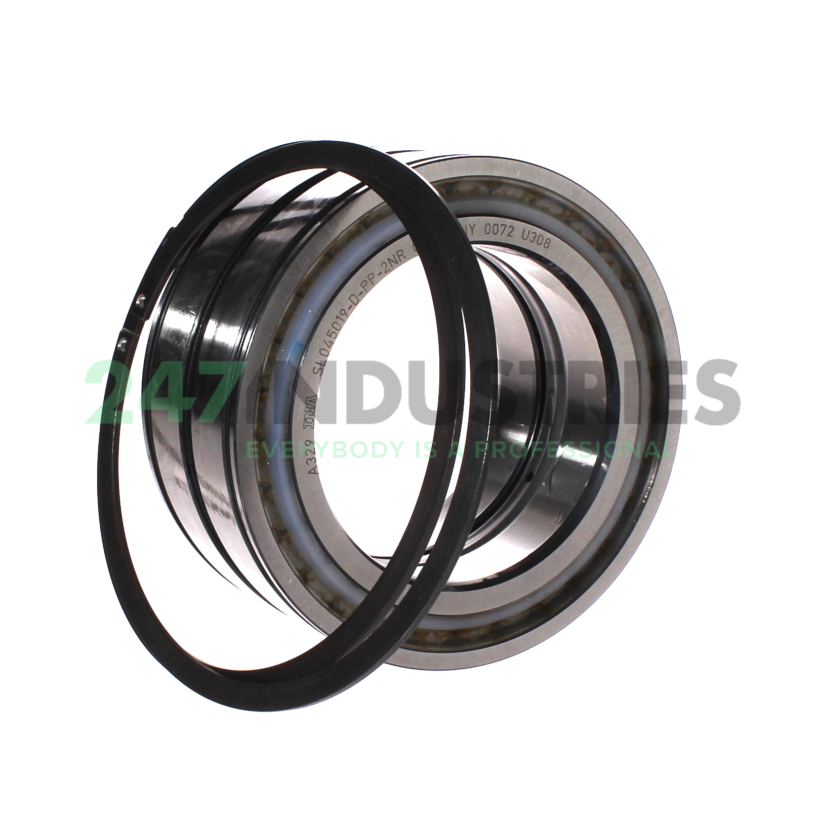 SL045019-D-PP-2NR INA