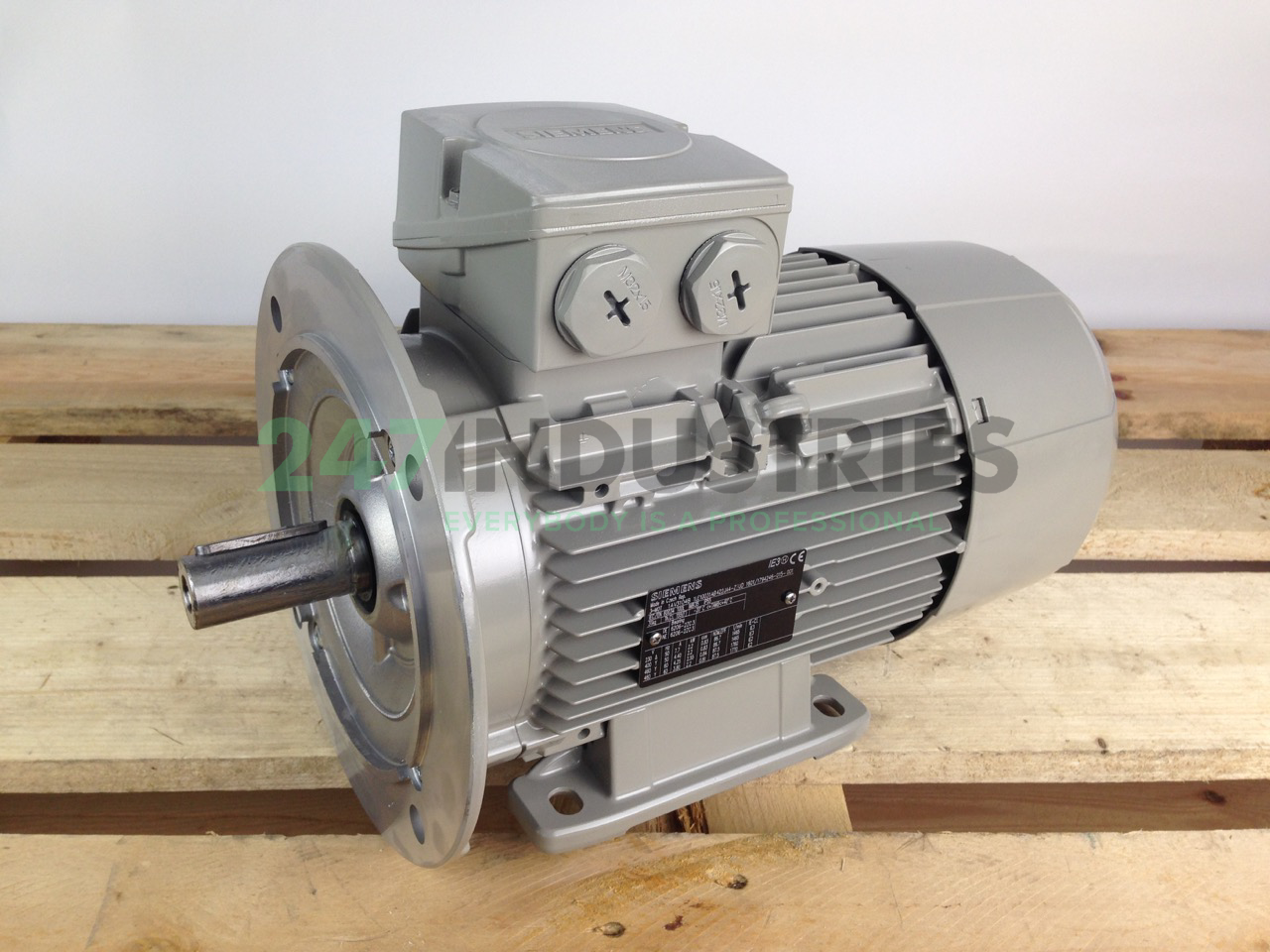 1LE1003-1AB42-2JA4 Siemens