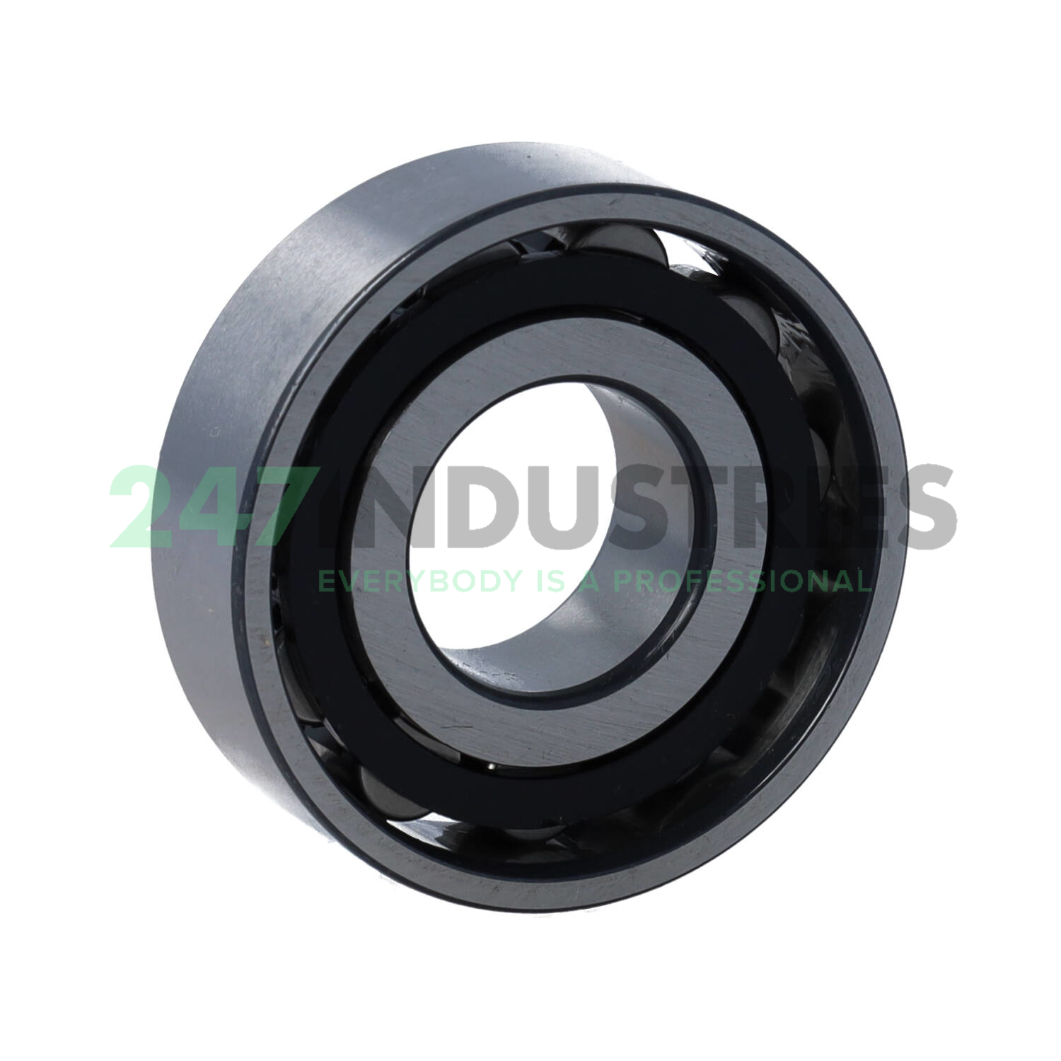 N203-E-XL-TVP2 FAG Image 2