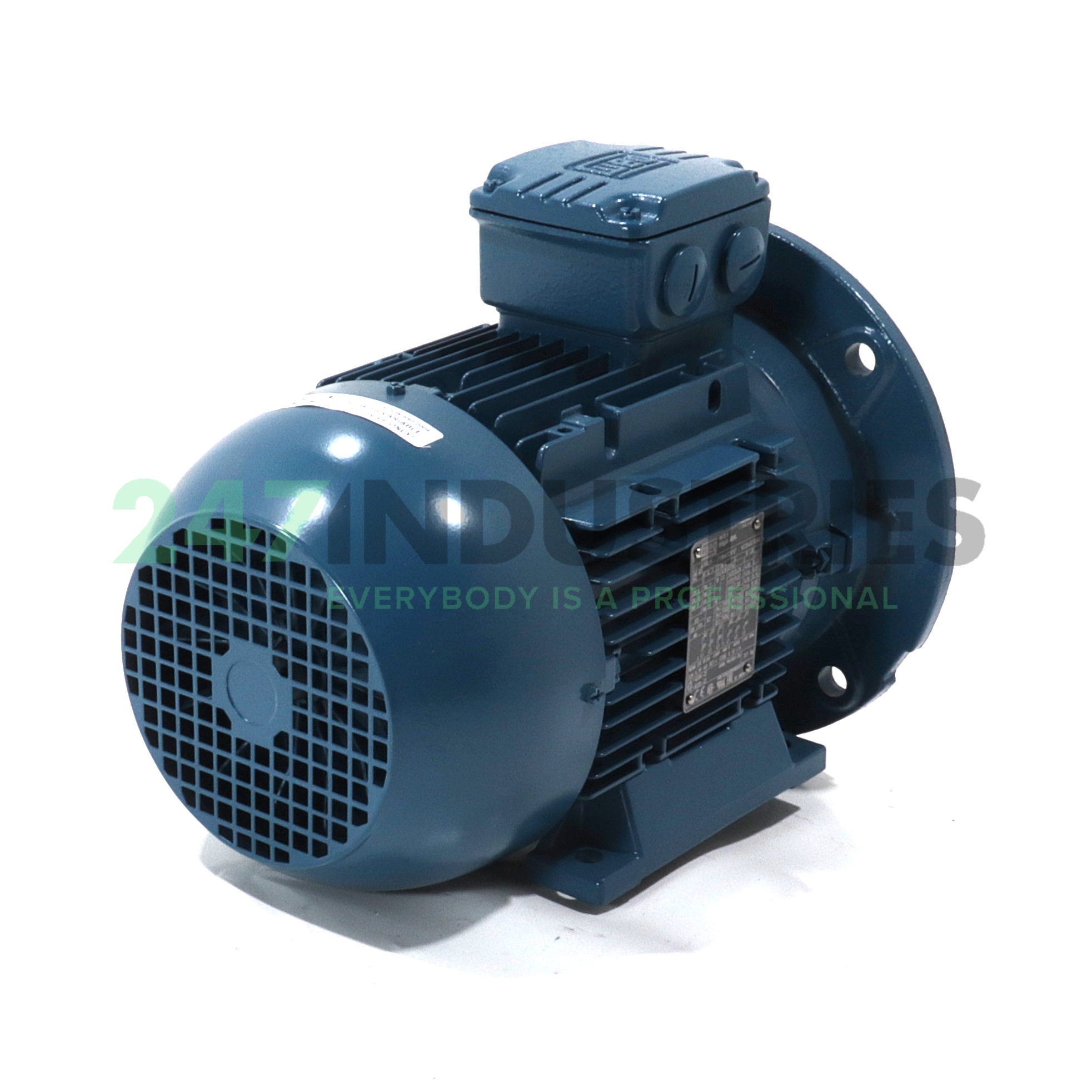 2.2K31AL2100L4B35 WEG Image 3