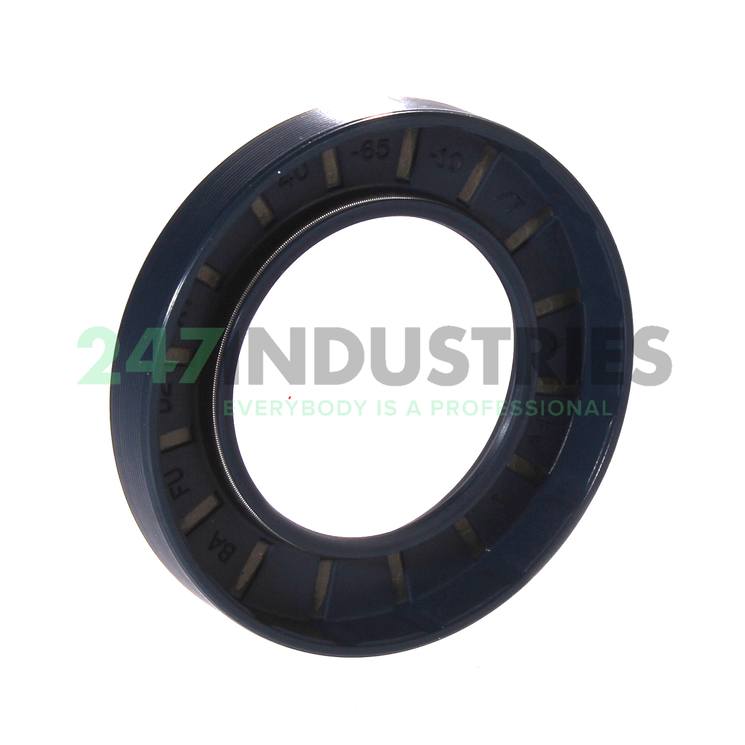 BAFUD2X7 40X65X10 Freudenberg Image 2