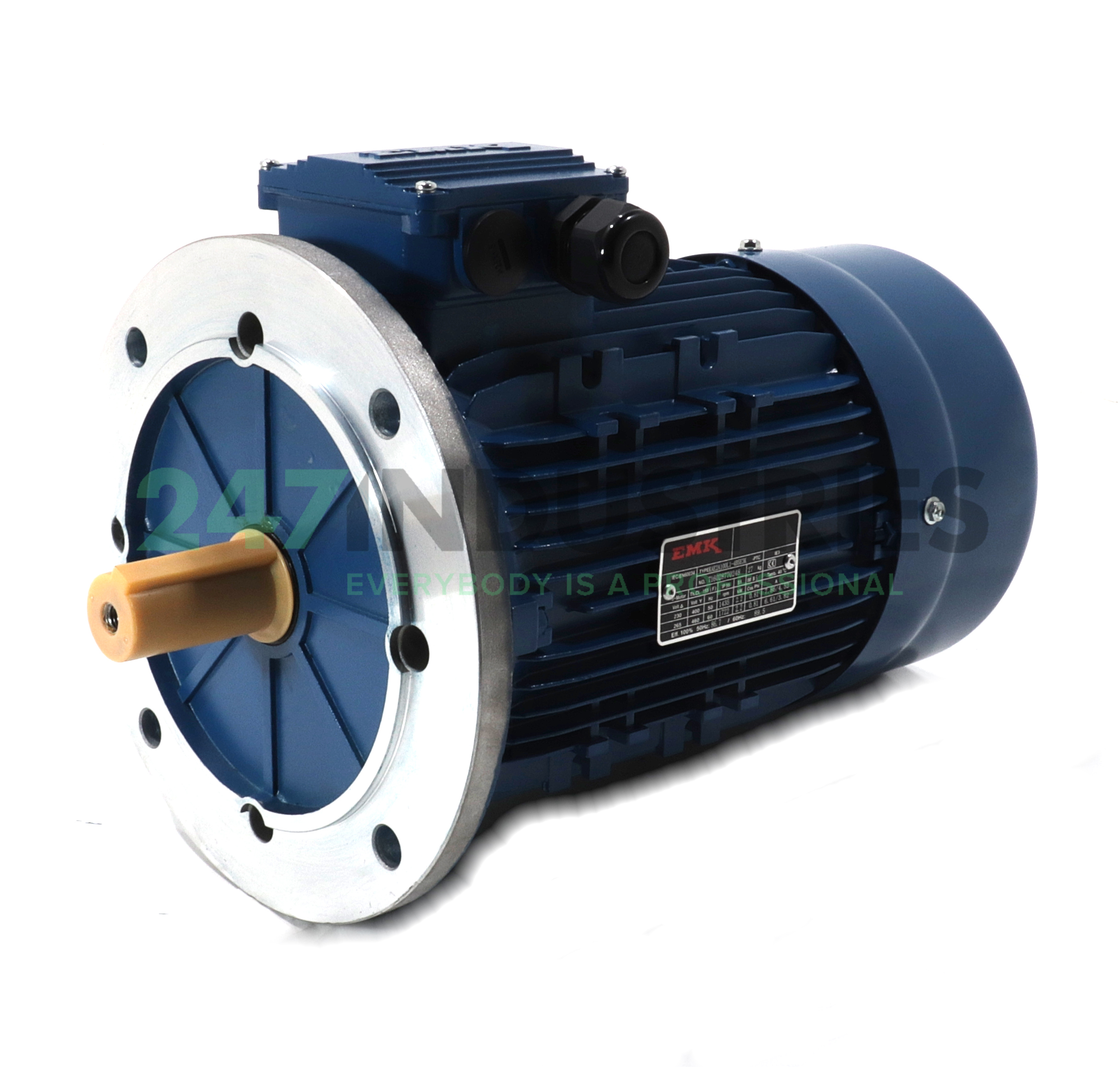 KAE2A100L1-4B5E3K EMK