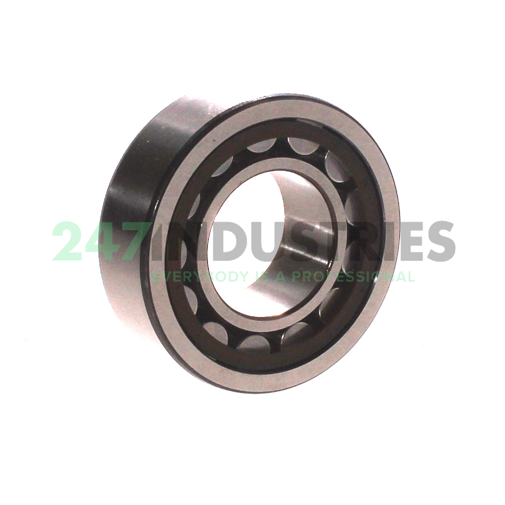 NU2206ECP/C3 SKF Image 2