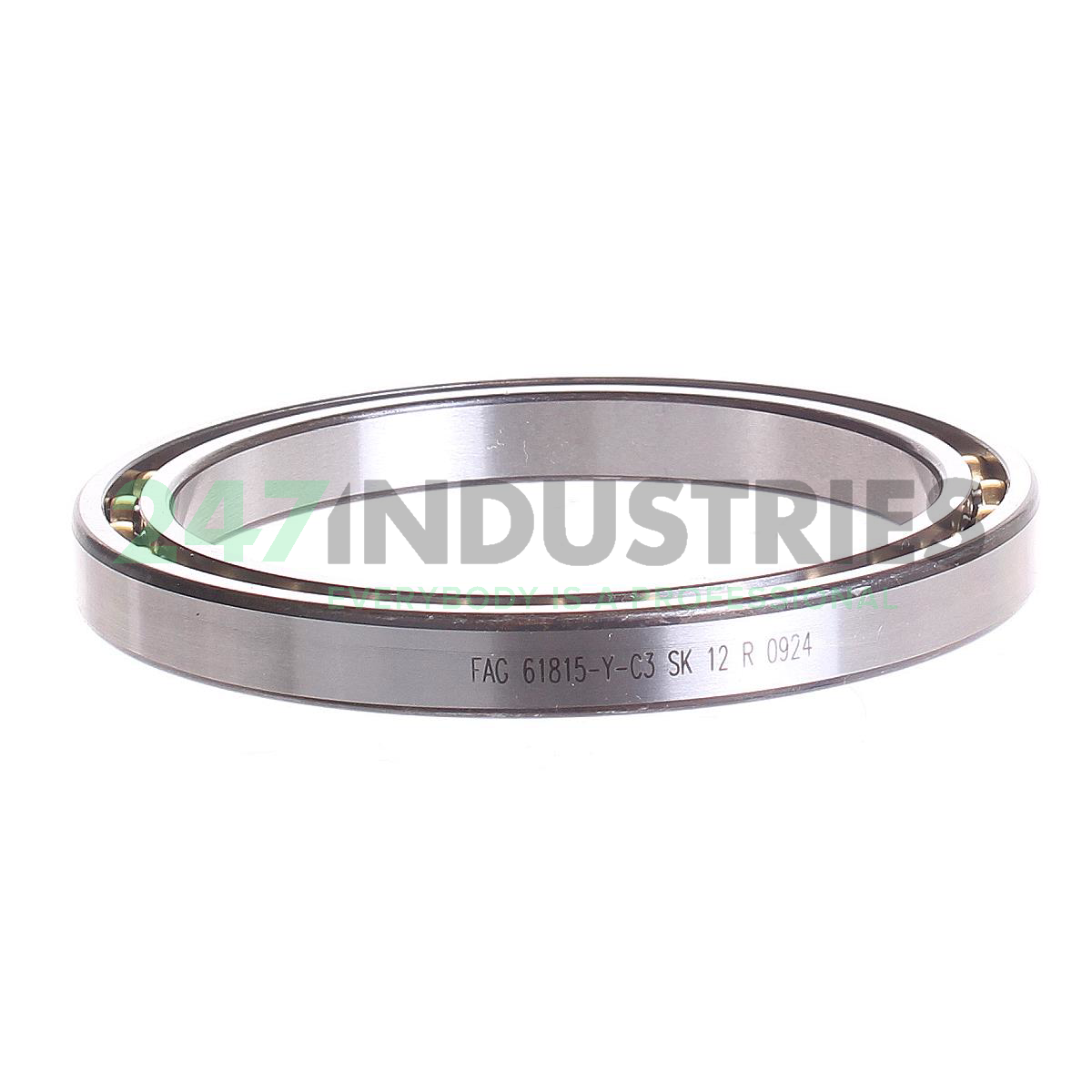 61815-Y-C3 FAG Image 2