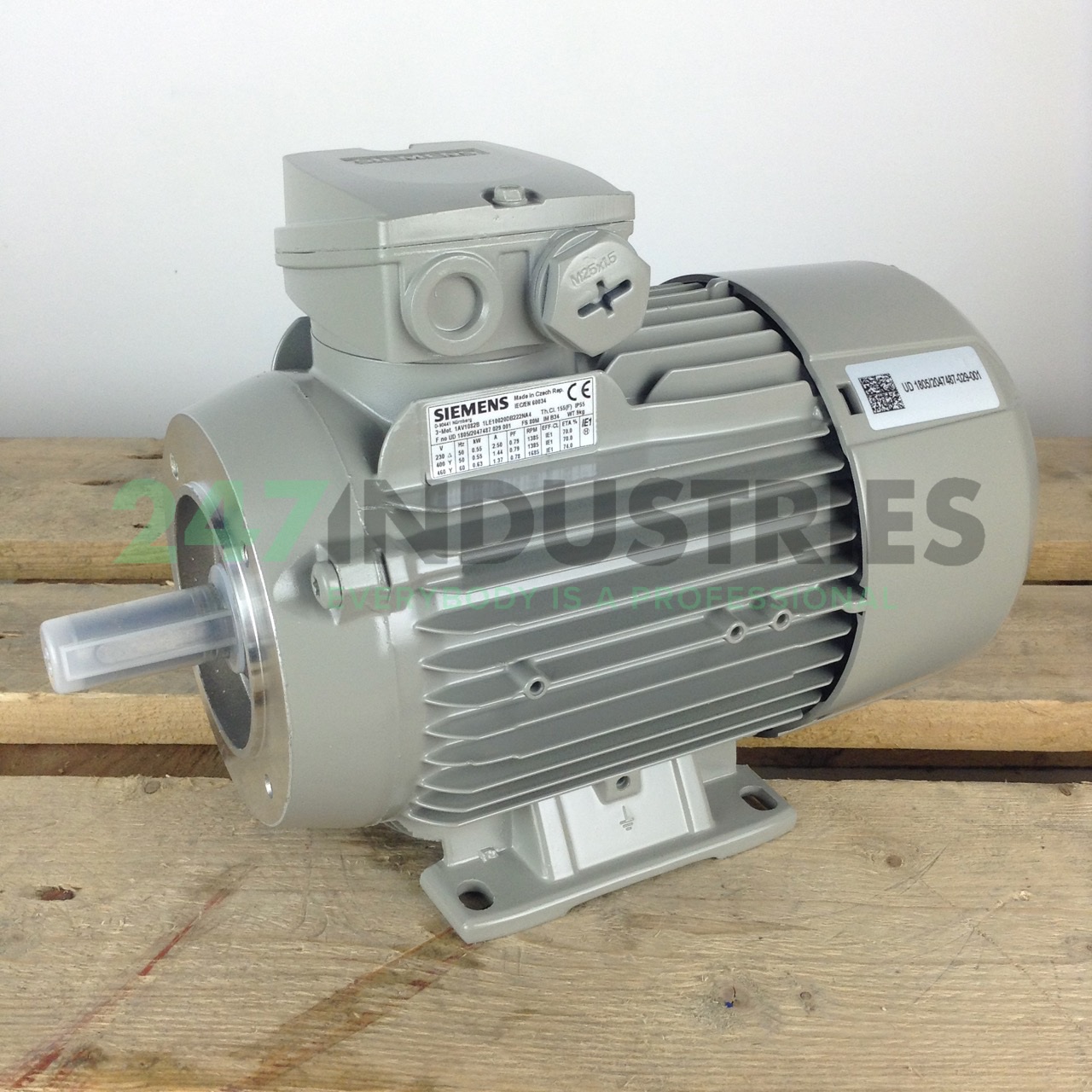 1LE1002-0DB22-2NA4 Siemens