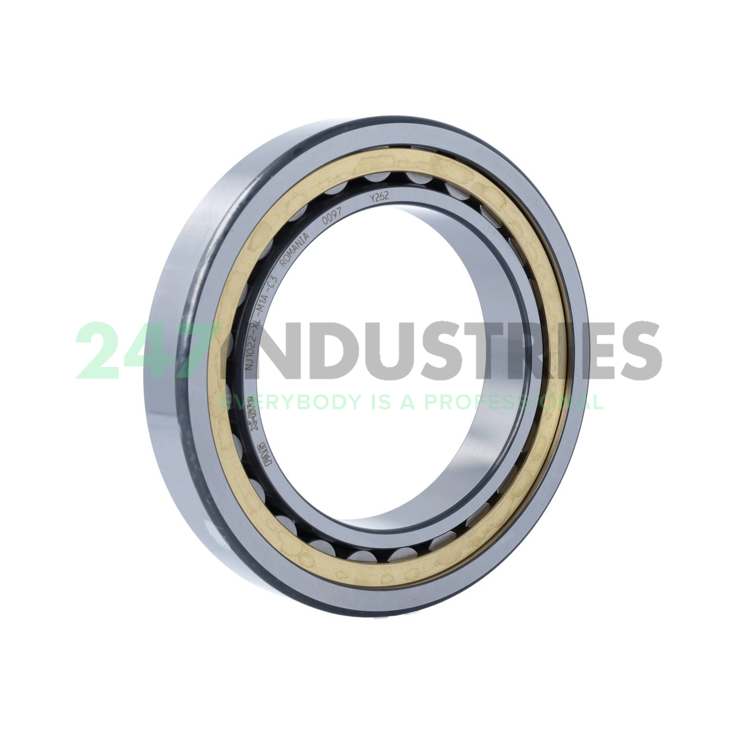 NJ1022-XL-M1A-C3 FAG Image 2