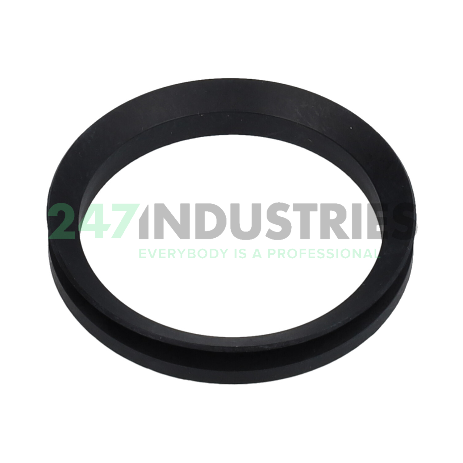 V55A/NBR70 NAK Sealing Technologies Image 2