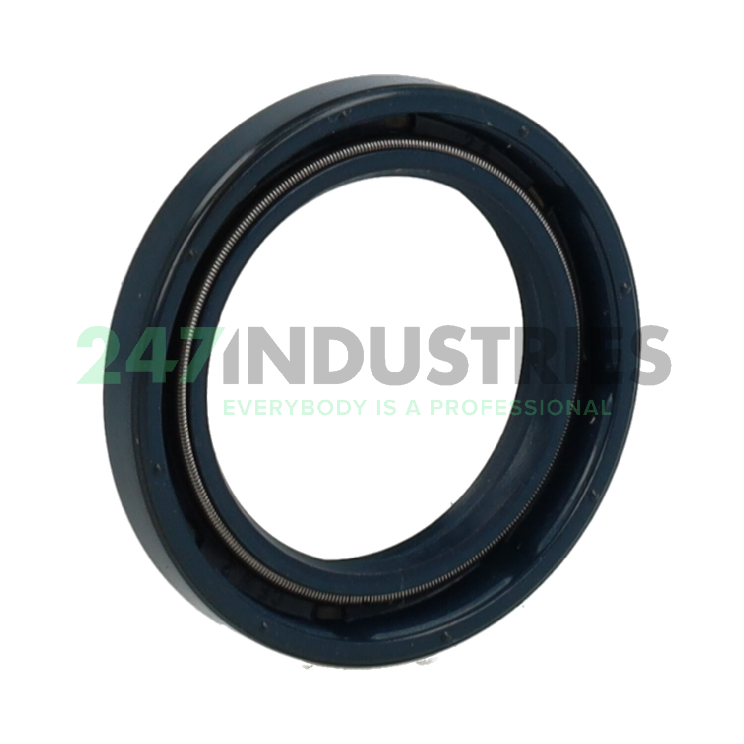 CR28X40X6HMSA7P2R Chicago Rawhide Ltd Image 2