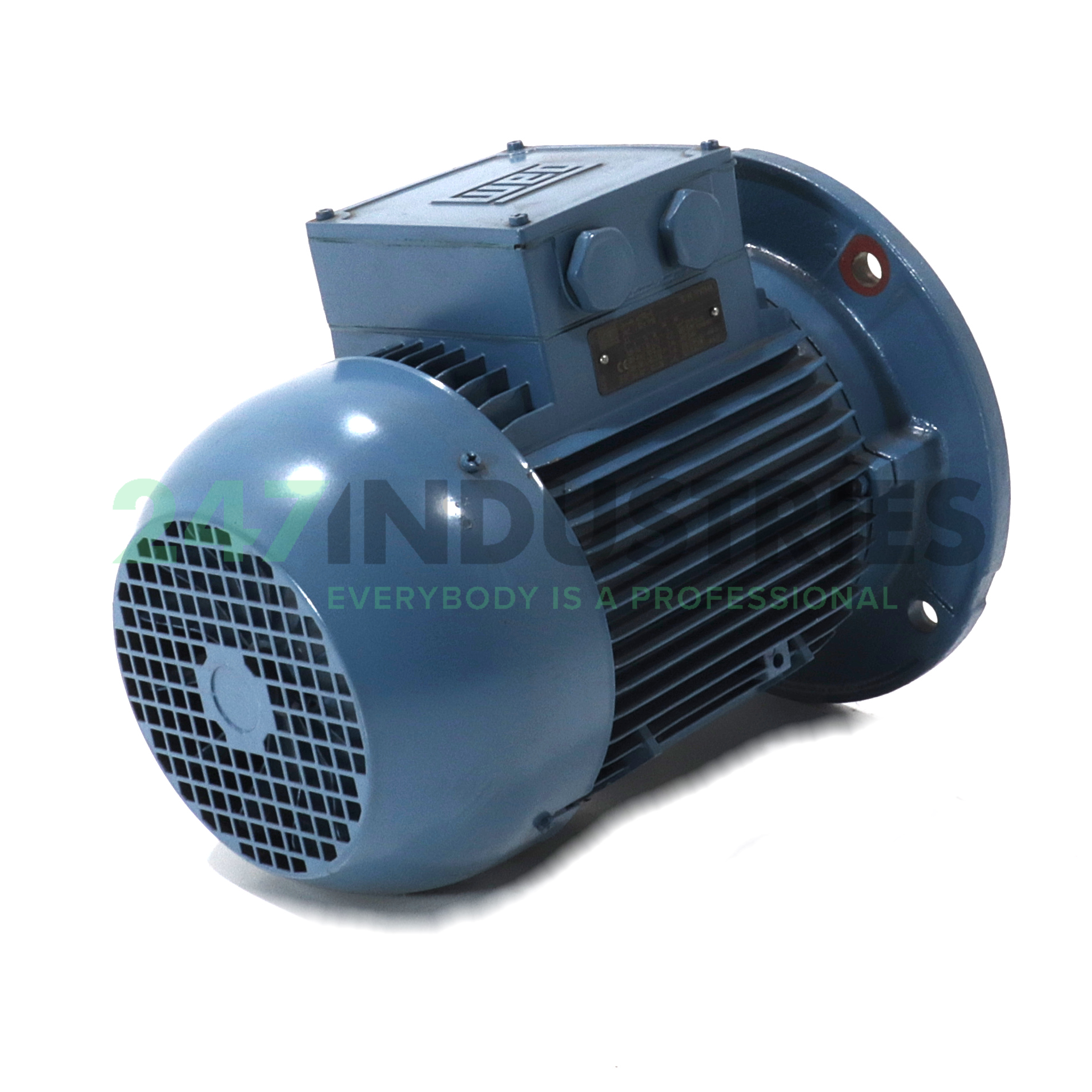 0.75K31AL0100L8B5 WEG Image 3