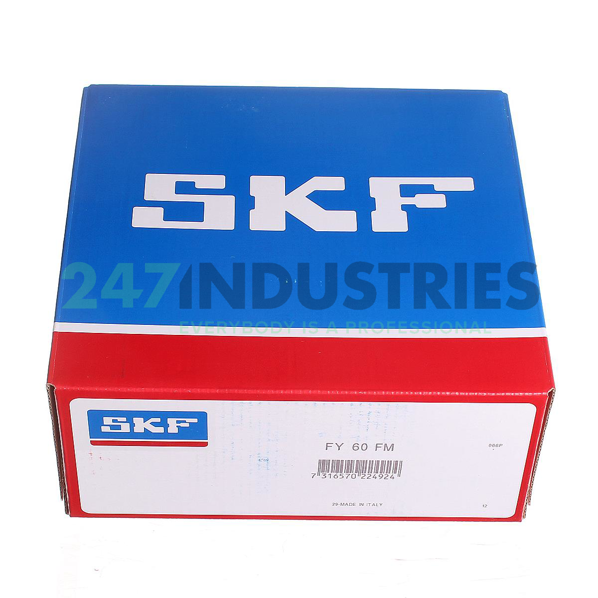 FY60FM SKF Image 4