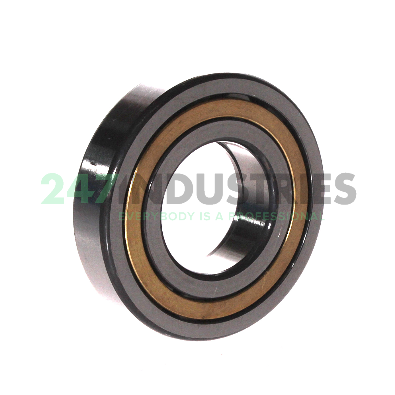 NUP207-E-XL-M1 FAG Image 2