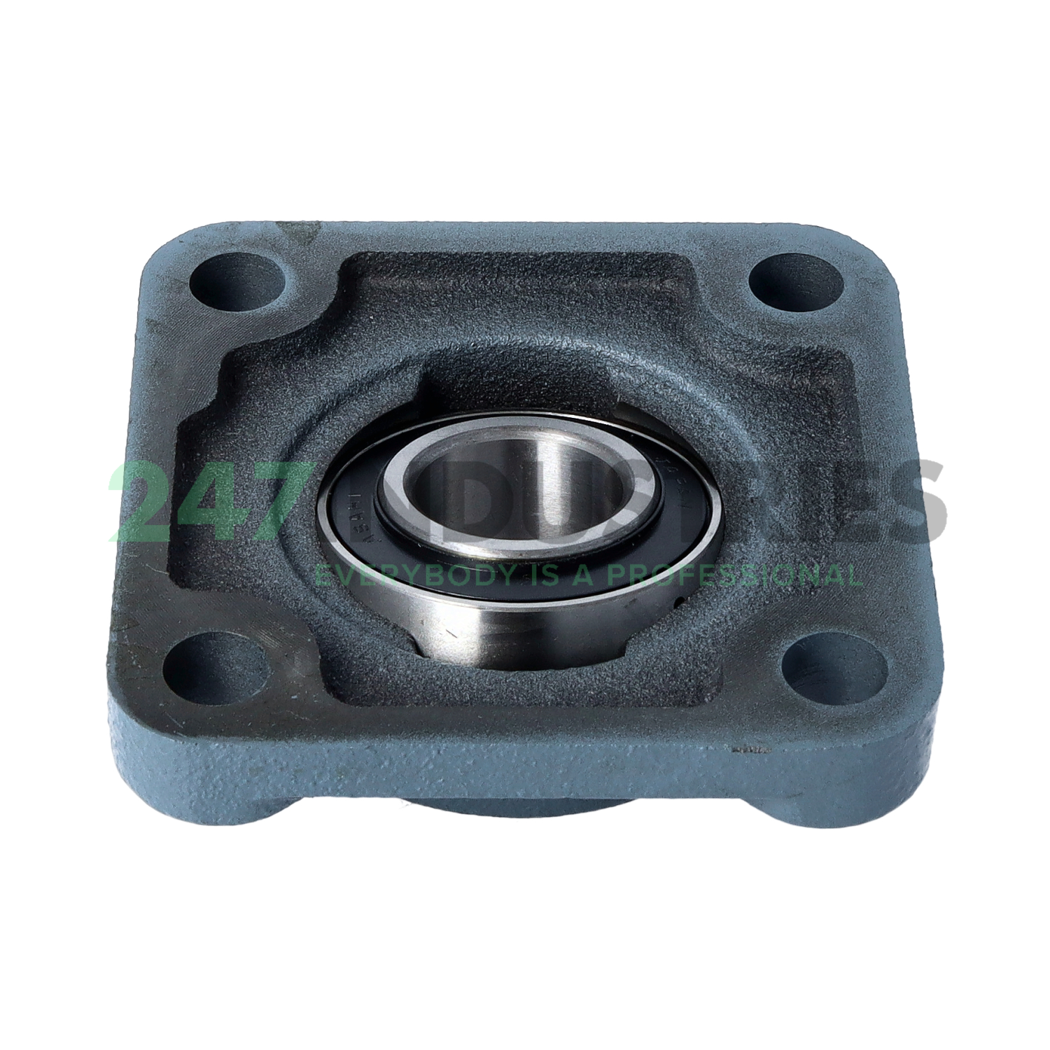 UKF205 Asahi Image 2