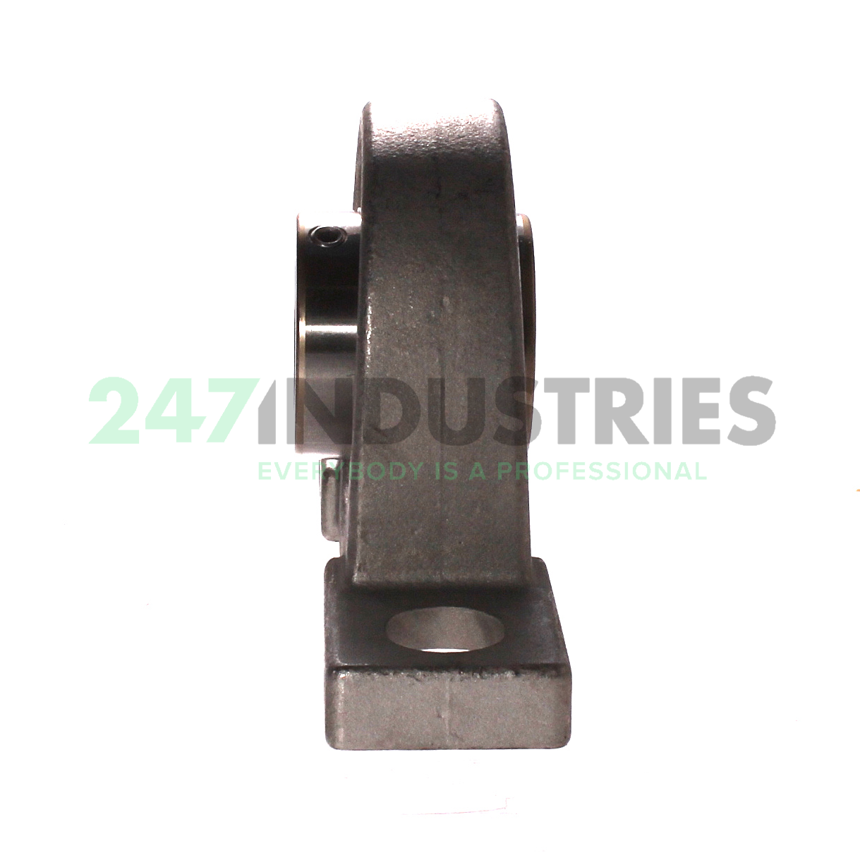 F-UCPM206D0/LP99 NSK Image 2