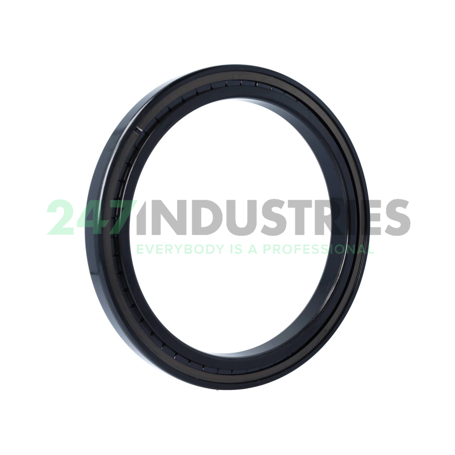 SL181838-A-BR INA Image 2