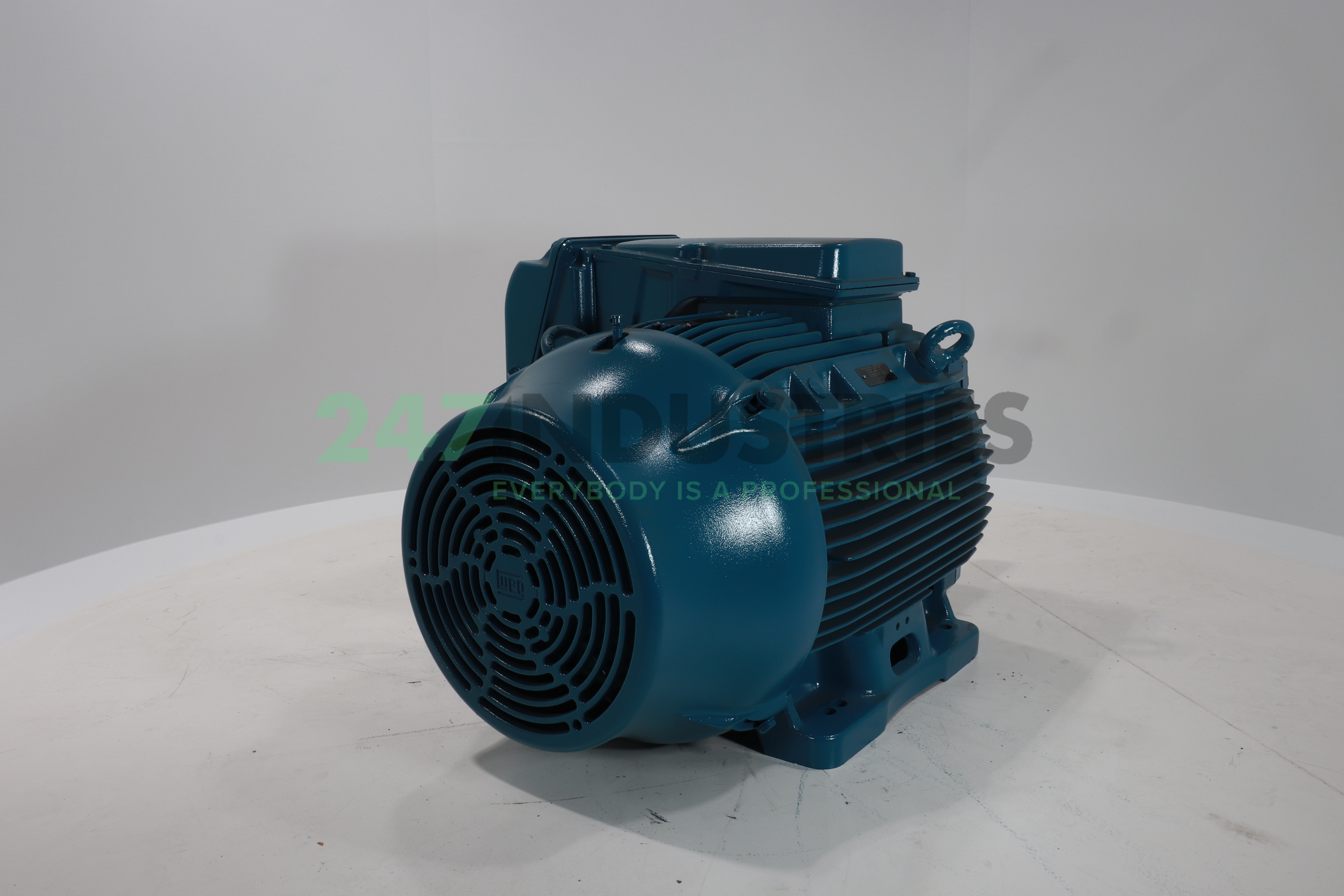 45K32CI1225S/M4B3EX2G WEG Image 3