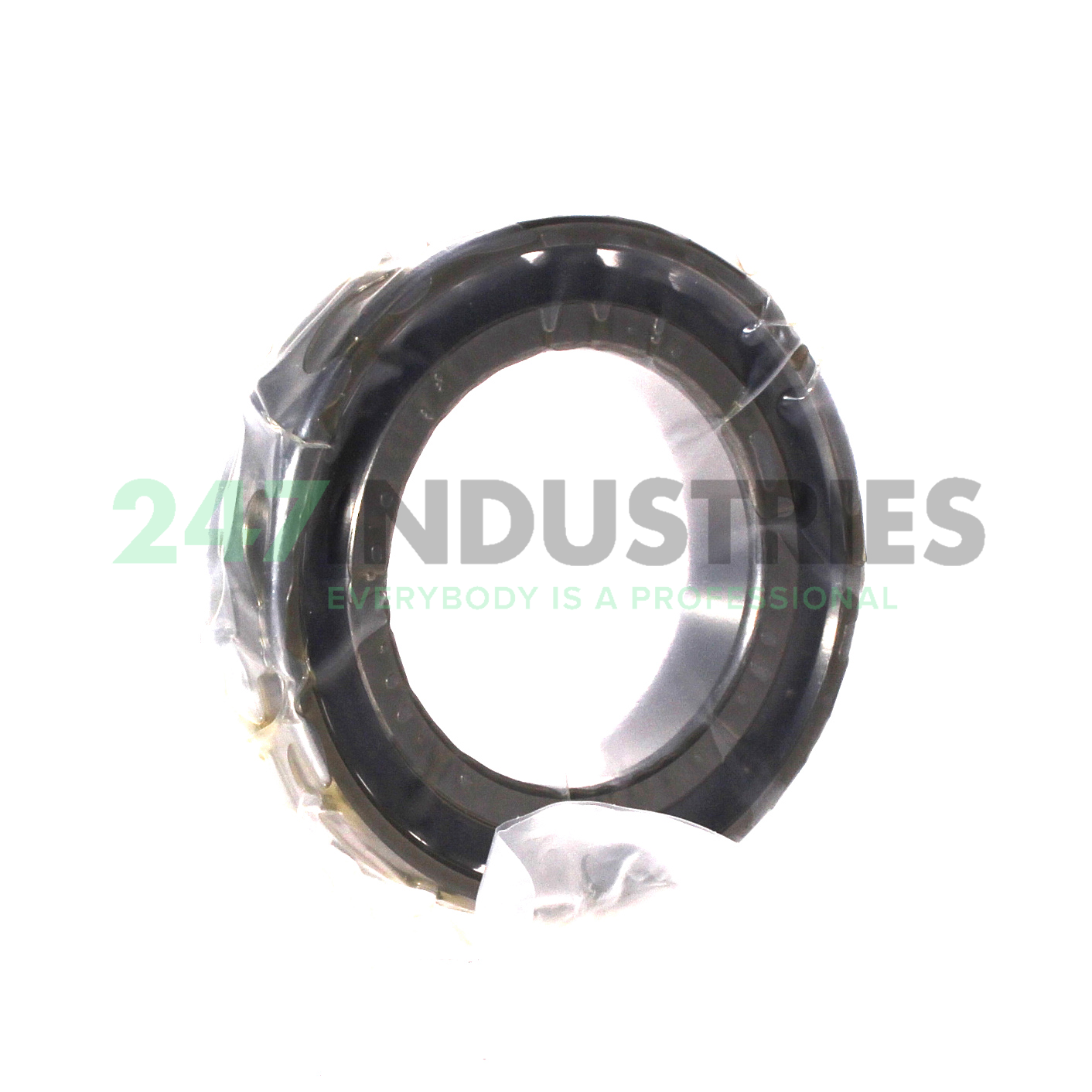 N1011-D-TVP-SP-XL FAG Image 2