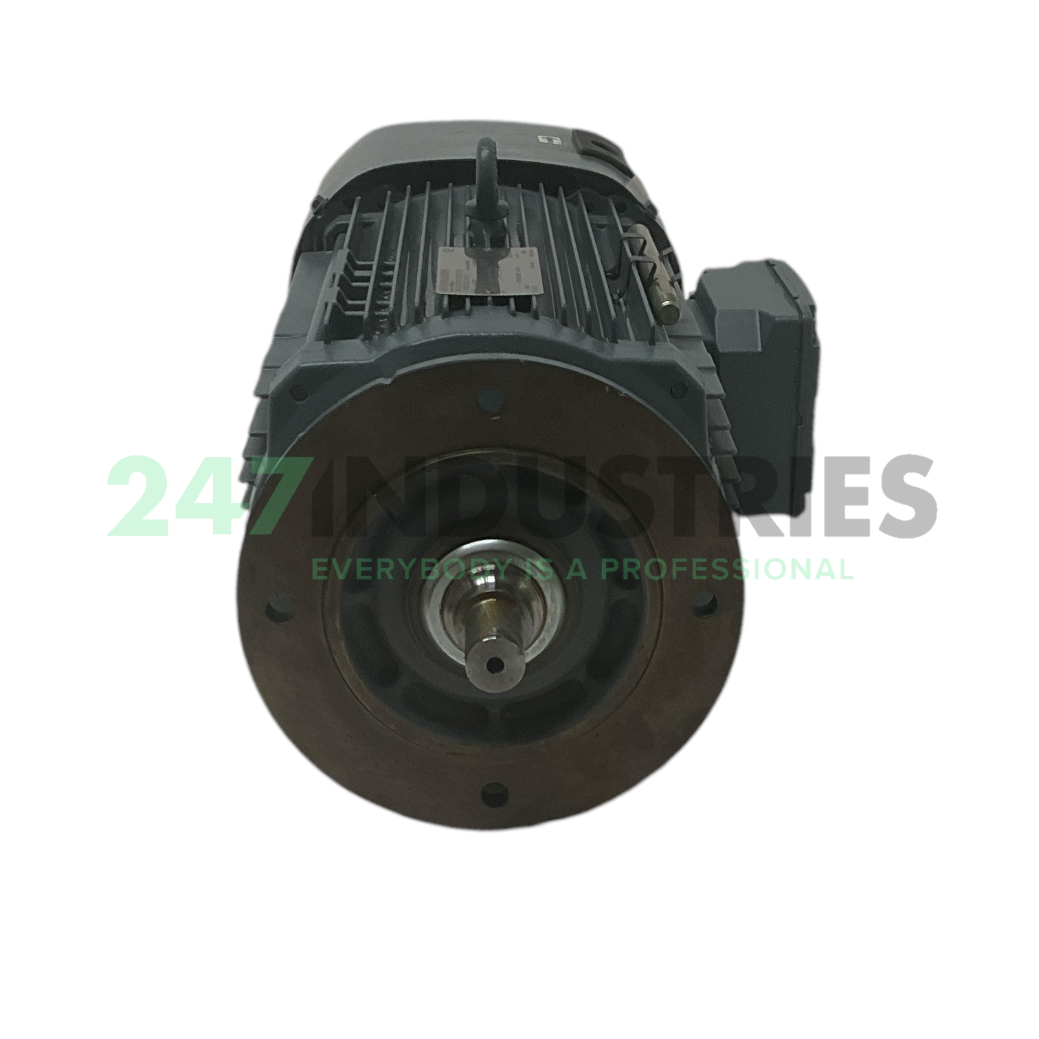 DRN132S2/BE11HR/FG/LN SEW-EURODRIVE Image 2