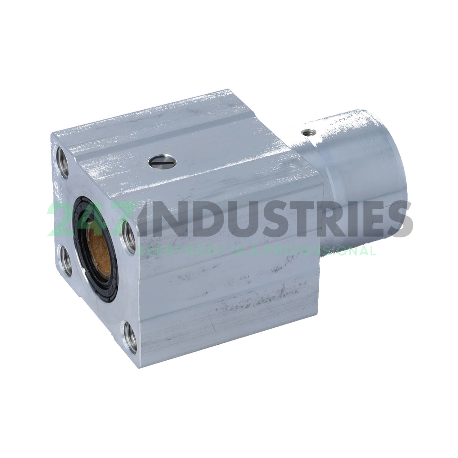 KTFS20-PP-AS INA