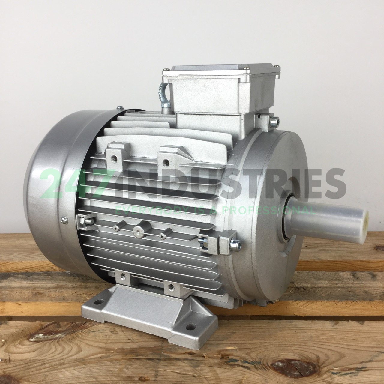 MS2132S-4B3 Neri Motori Image 3