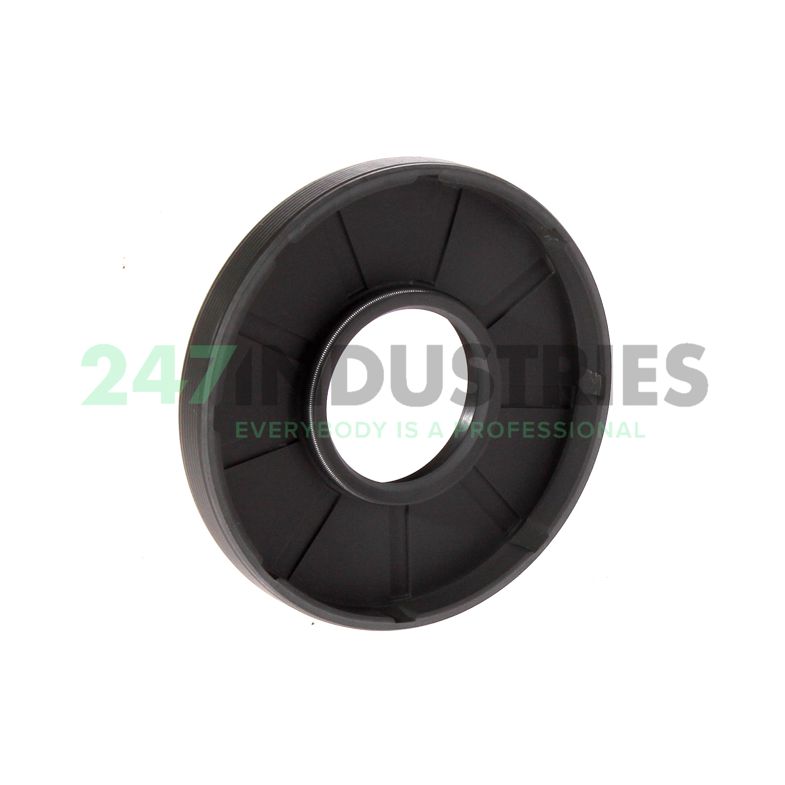 25X62X8HMSA10RG SKF Image 2