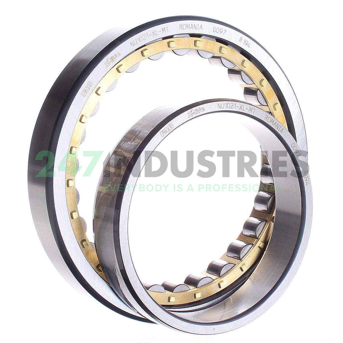 NU1021-XL-M1 FAG Image 3