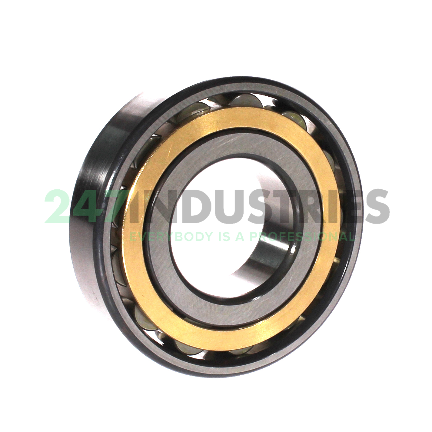 N310-E-XL-M1-C3 FAG Image 2