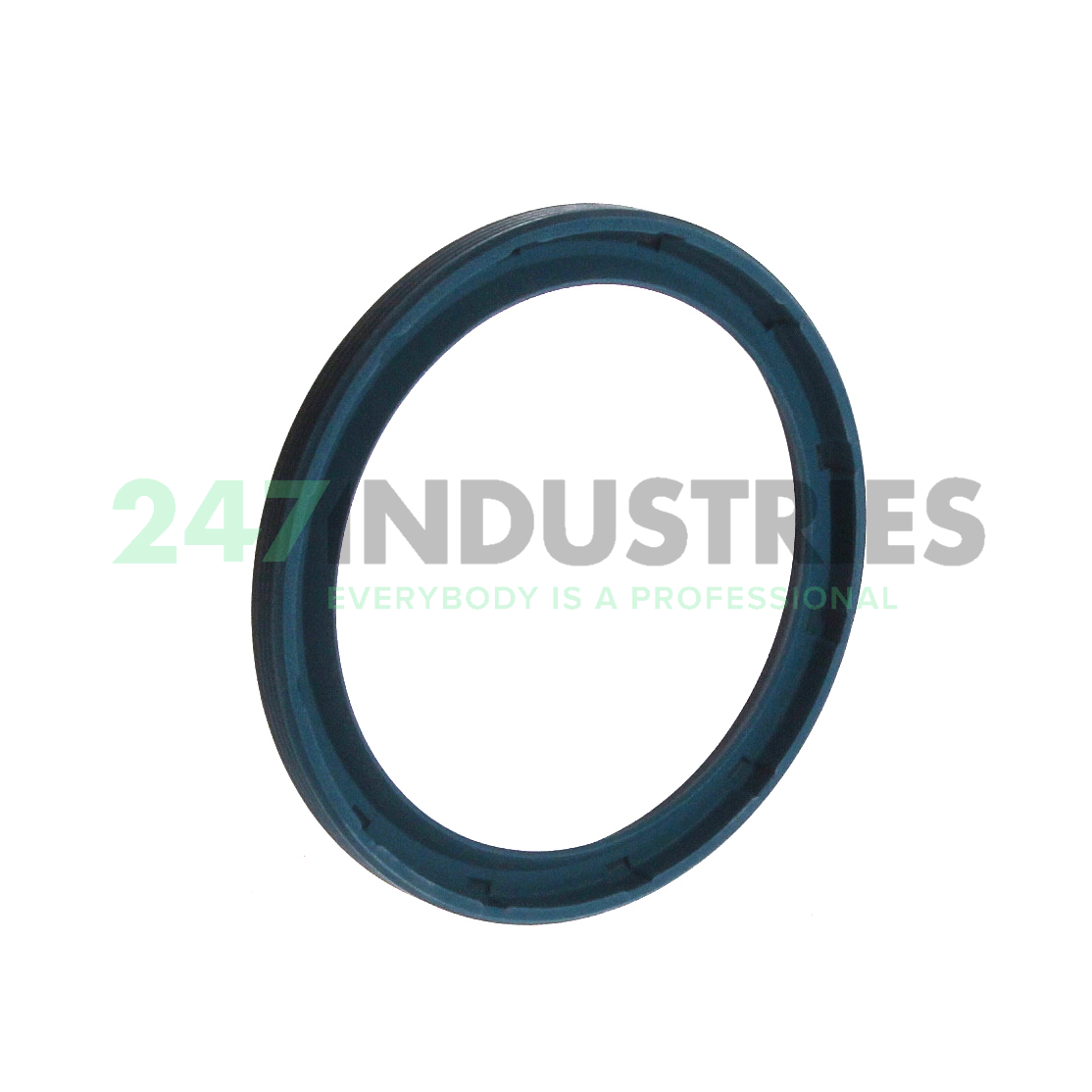 G42X52X4-C INA Image 1
