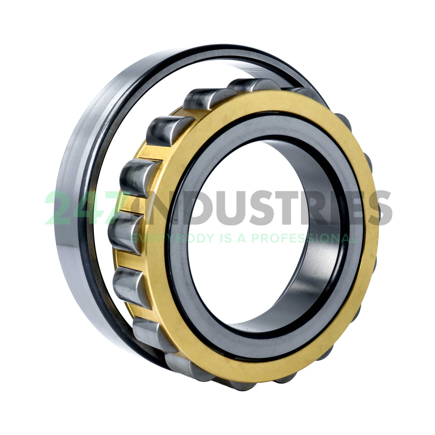 N220-E-XL-M1 FAG Image 3