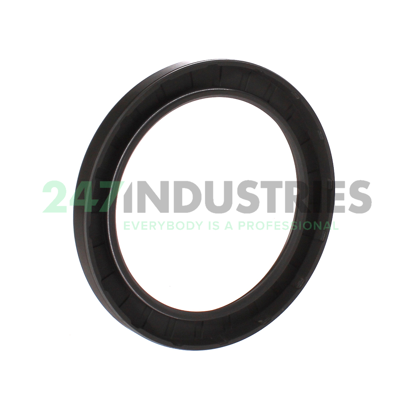 95X125X12HMS5RG SKF Image 2