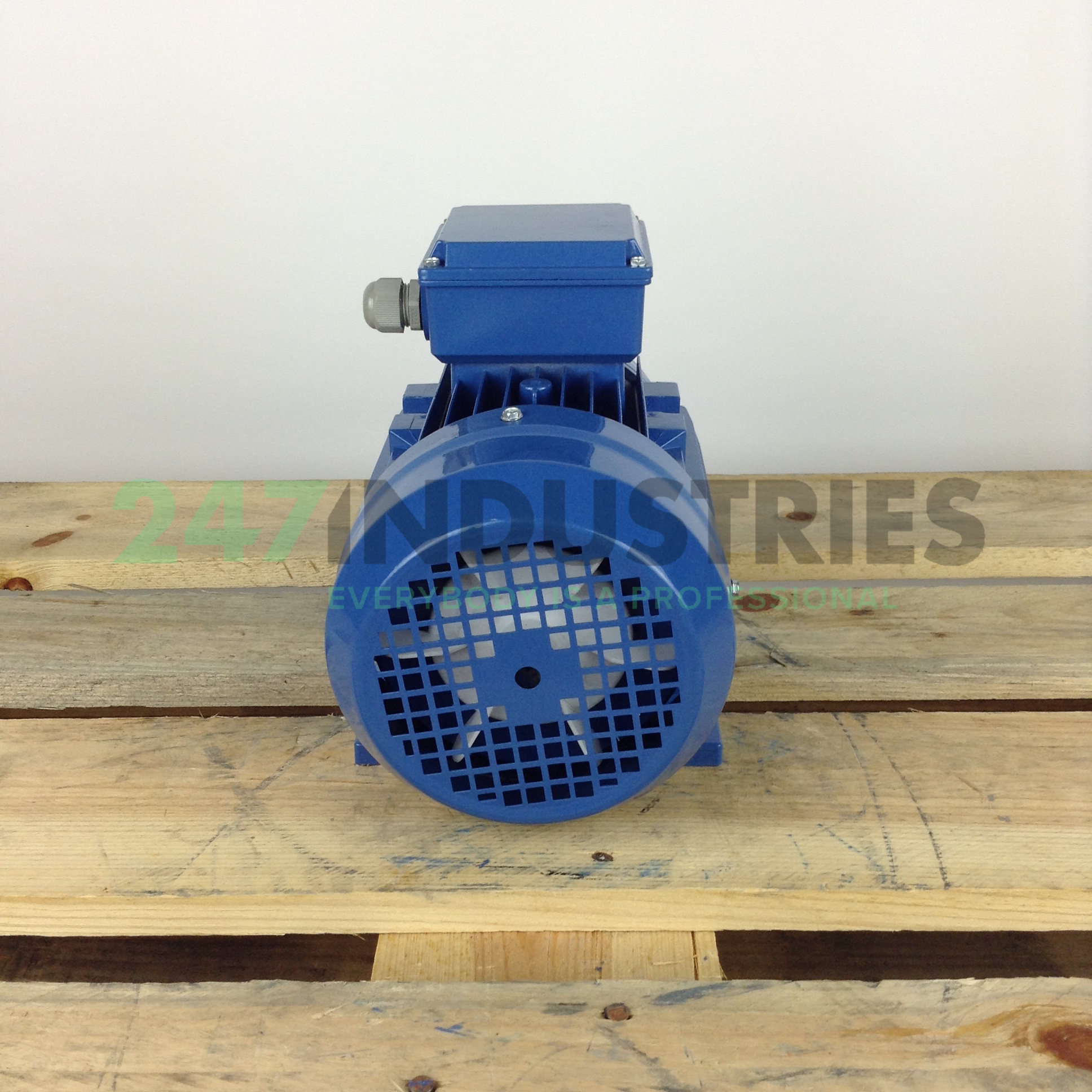 MS90L-2B34 Gibbons Image 5