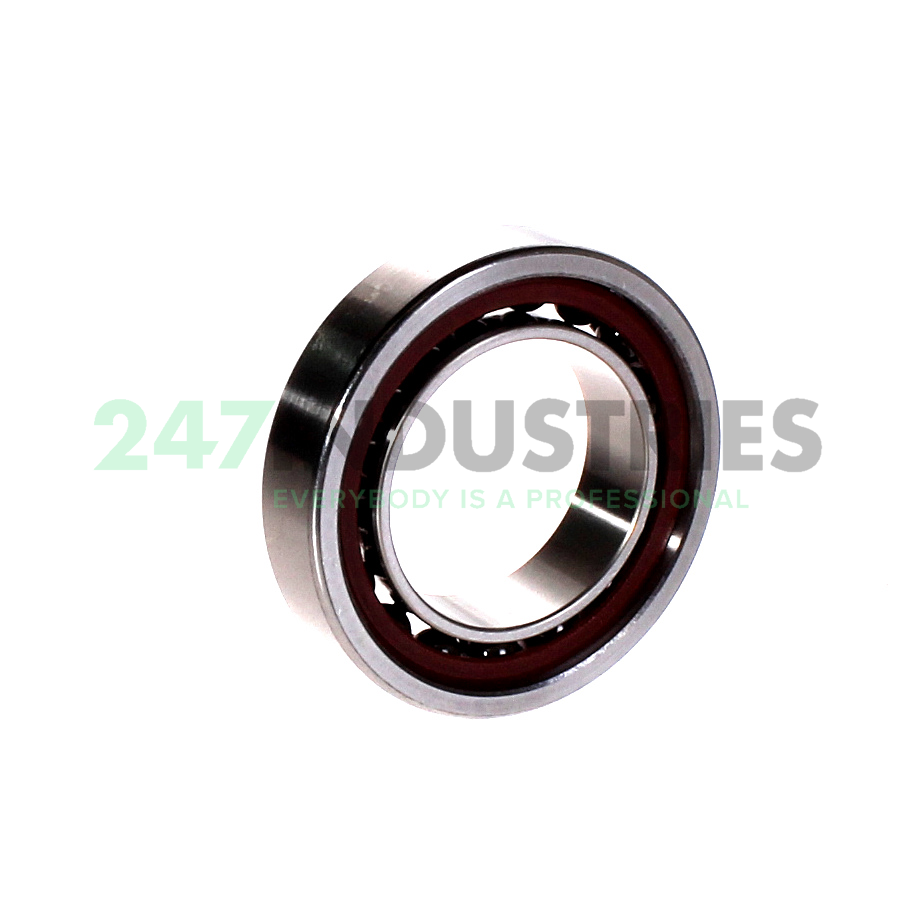 FD1008-K-T-P4S FAG Image 2