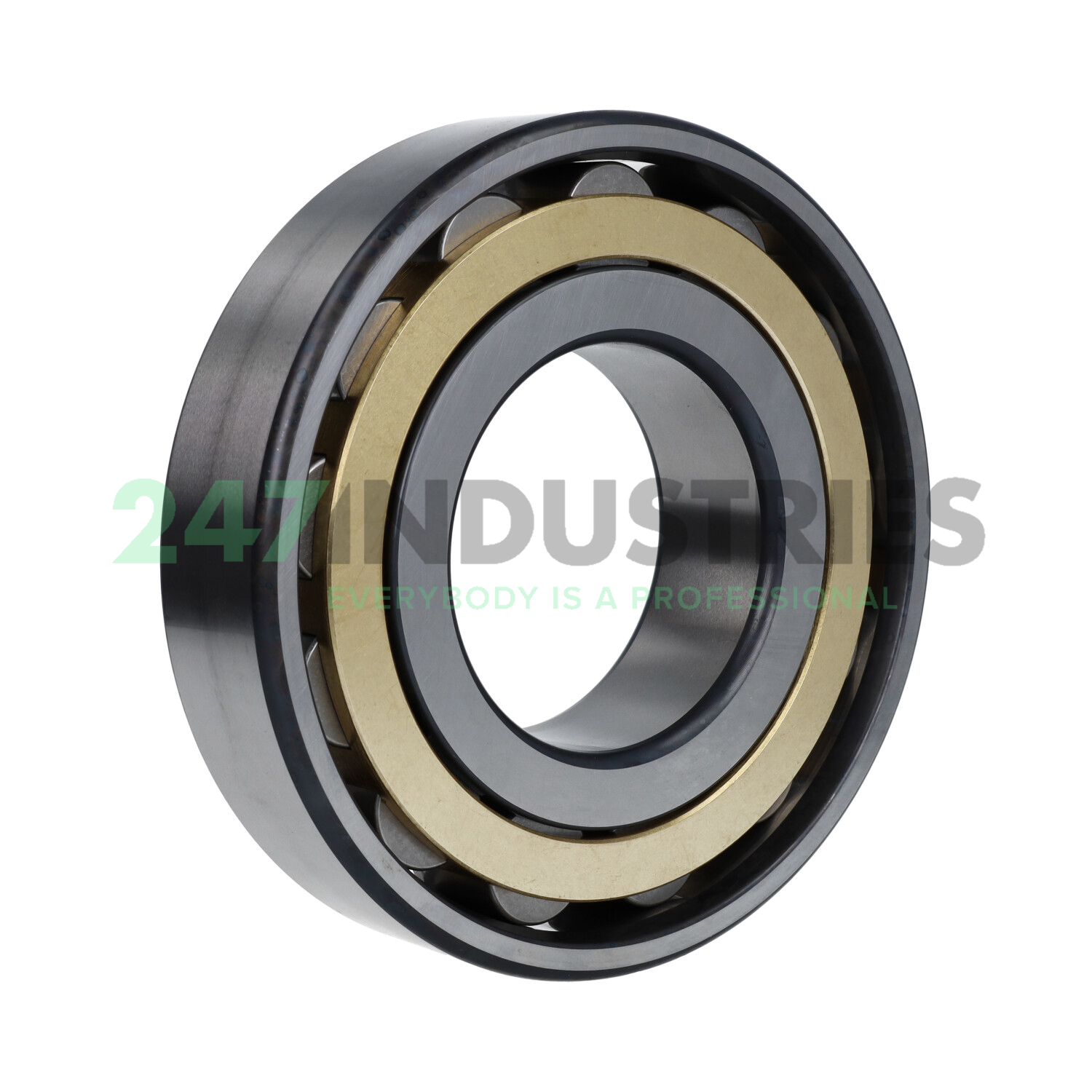 N316-E-M1 FAG Image 2